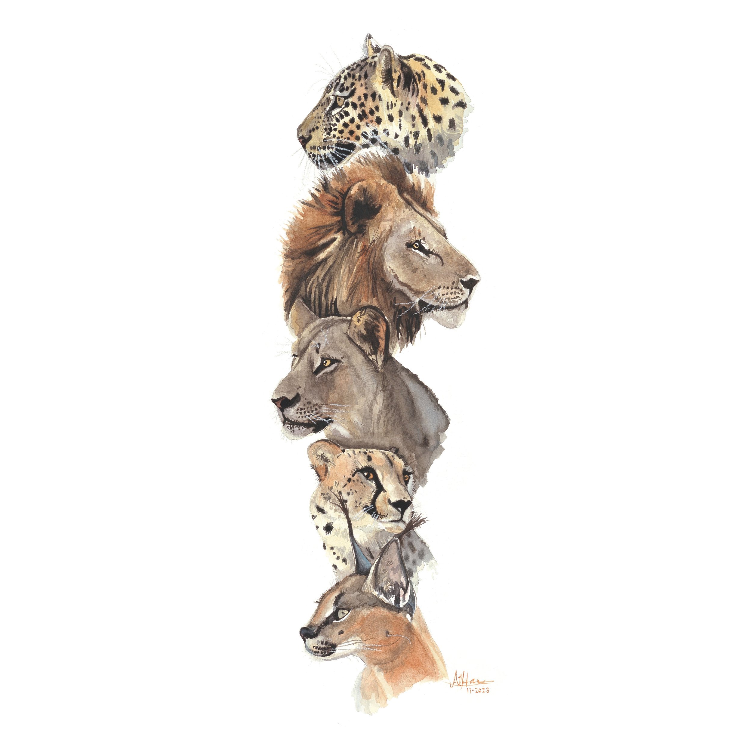 Cats of Africa