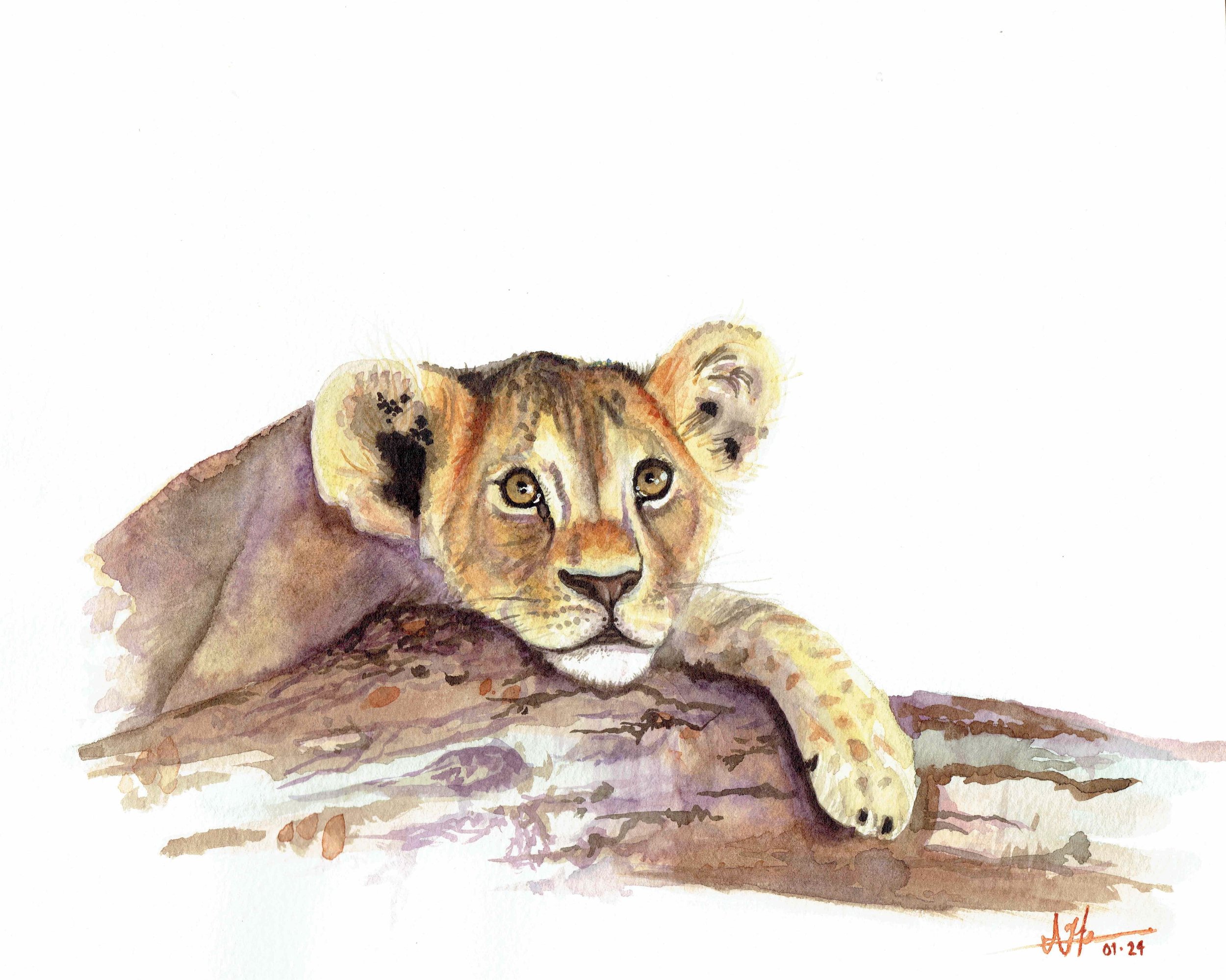 Lion Cub Print