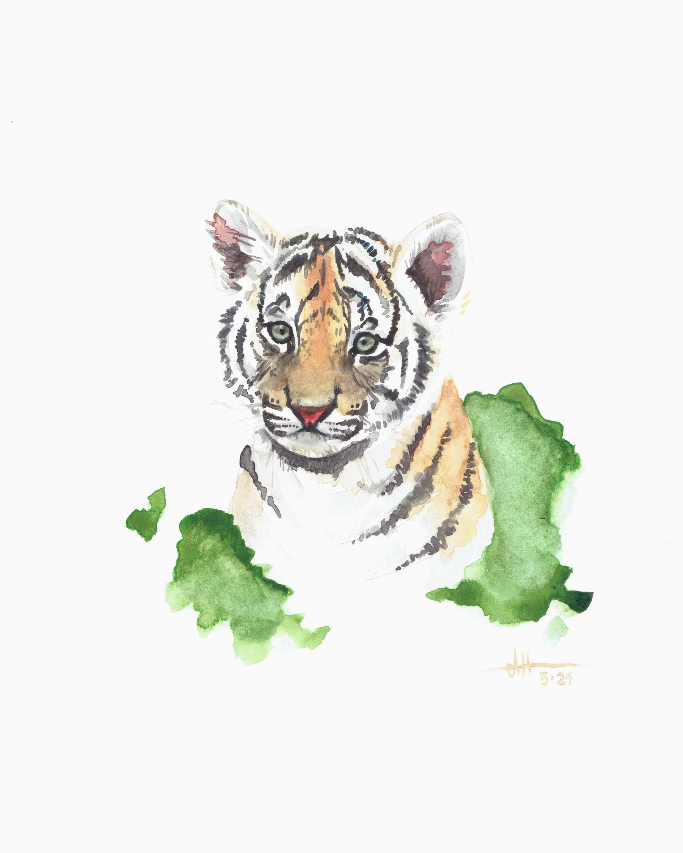 Tiger Cub Print
