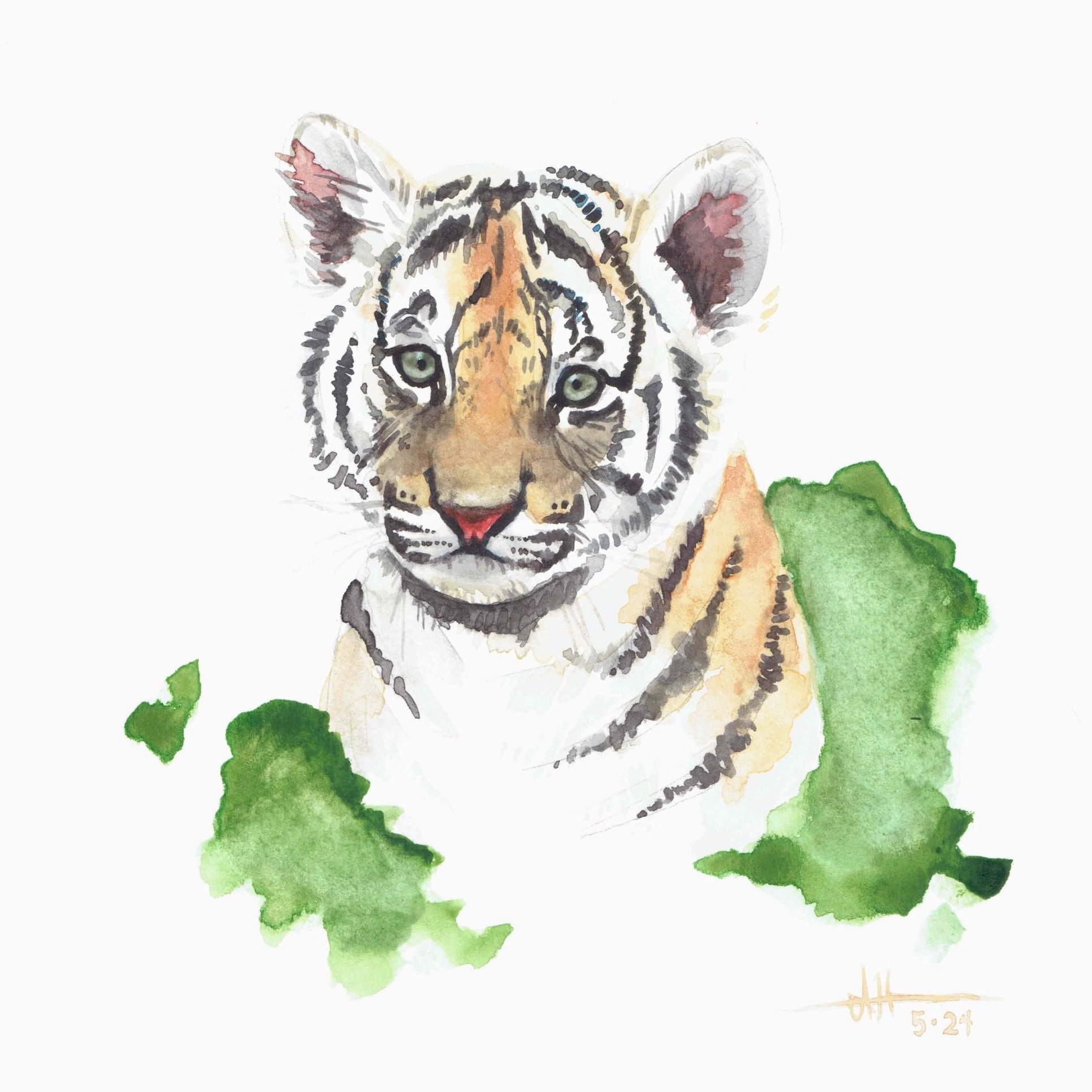 TigerCub.jpg