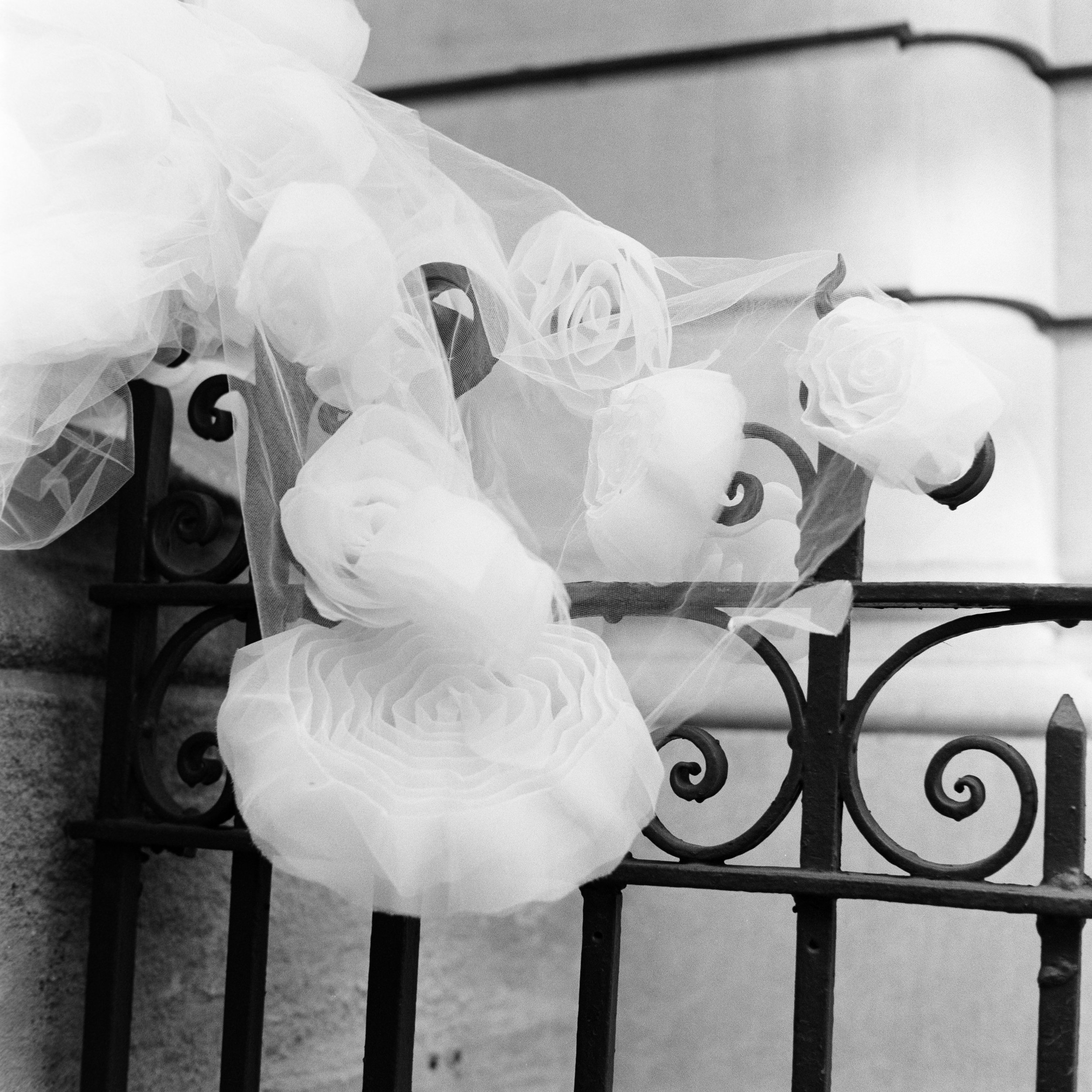 Black and white photo of a decorative wrought iron bench with a sheer, ruffled fabric placed on top of it.