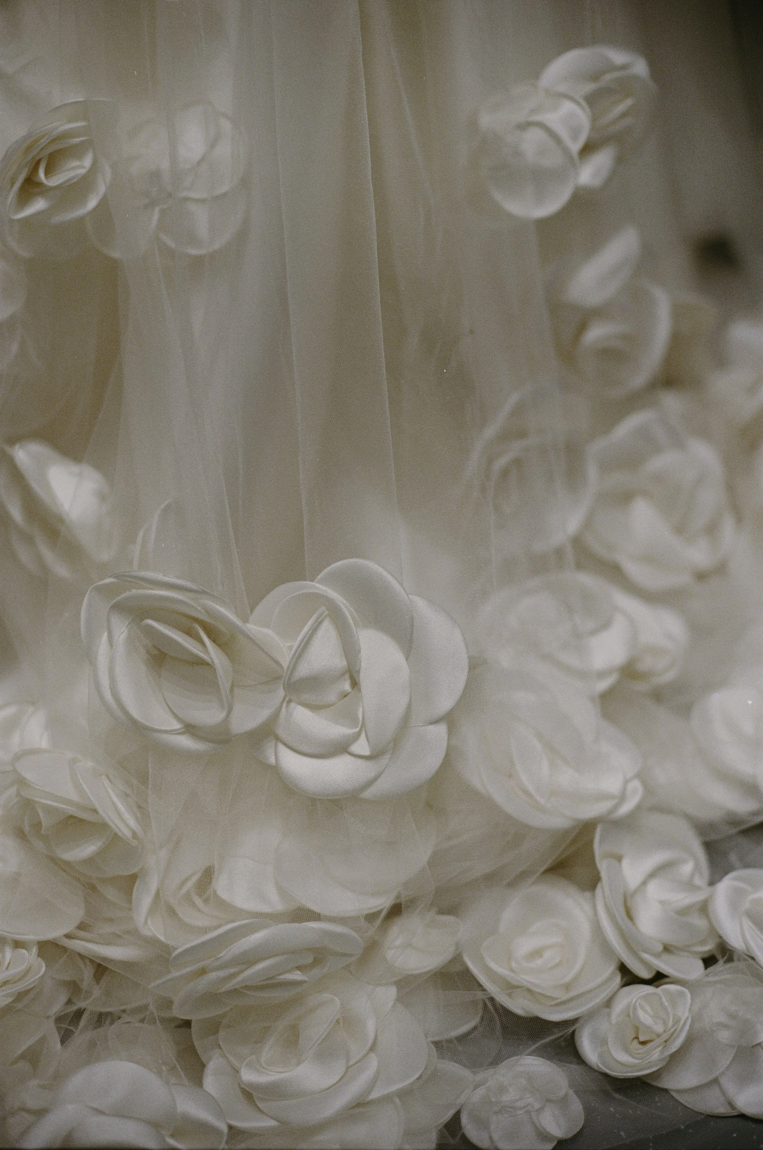 Melange-De-Blanc---Caitlin-Taylor-6.jpg