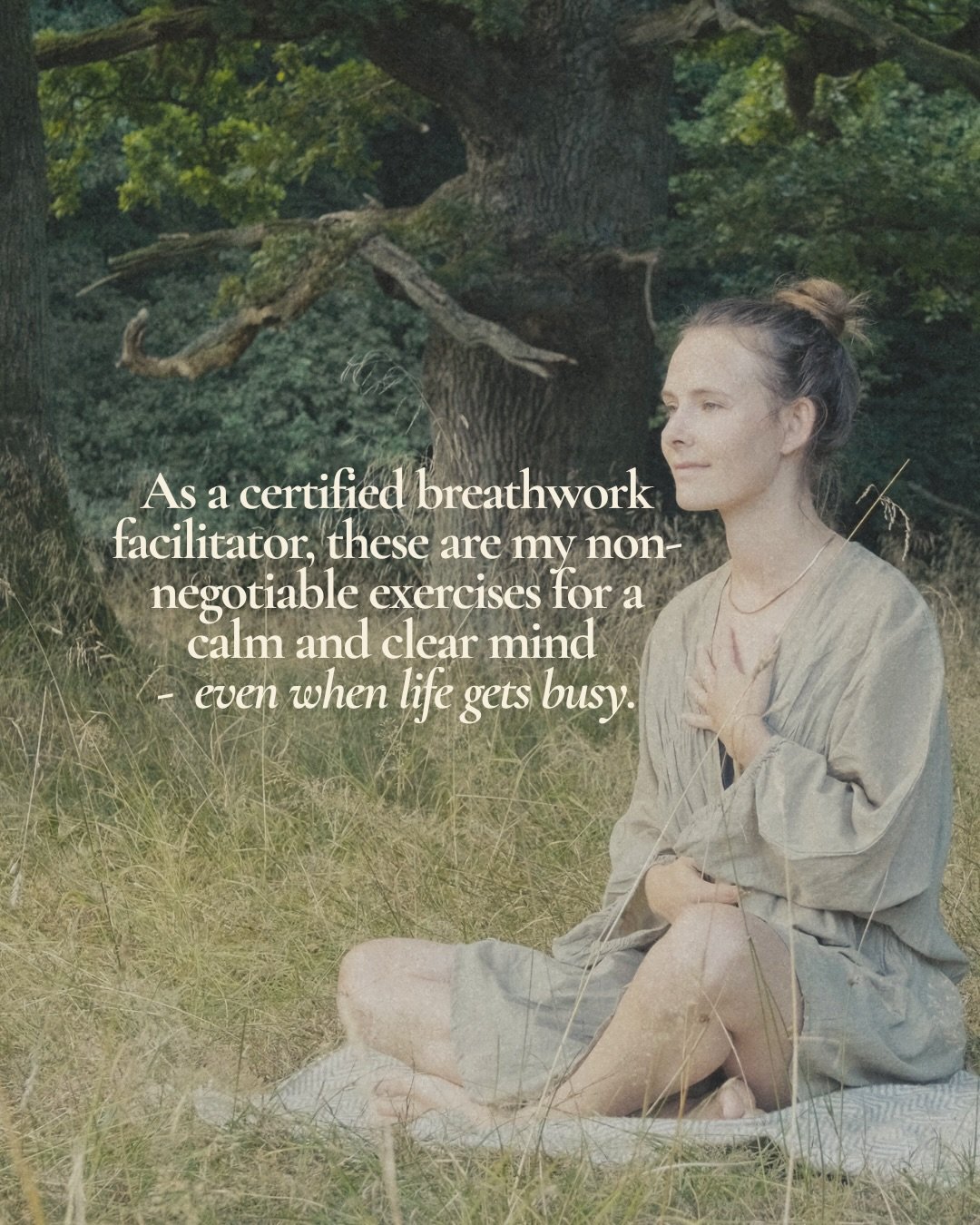 Feeling stressed, overwhelmed, or stuck in a busy mind?

Comment &ldquo;BREATH&rdquo; and I&rsquo;ll send you a free guided breathwork session to help you calm your nervous system and feel clear again in minutes.

#breathwork #breathworkhealing