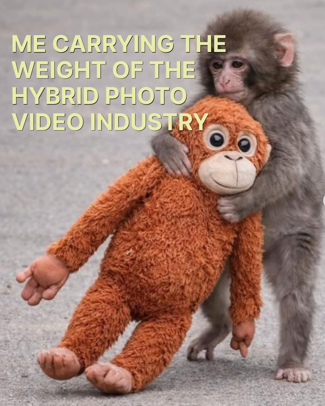 Photographers, if your income only goes up when you shoot more weddings, your business model is the problem. A lot of photographers try to solve that by rebranding, changing presets, posting more on Instagram, or buying new gear. None of those things