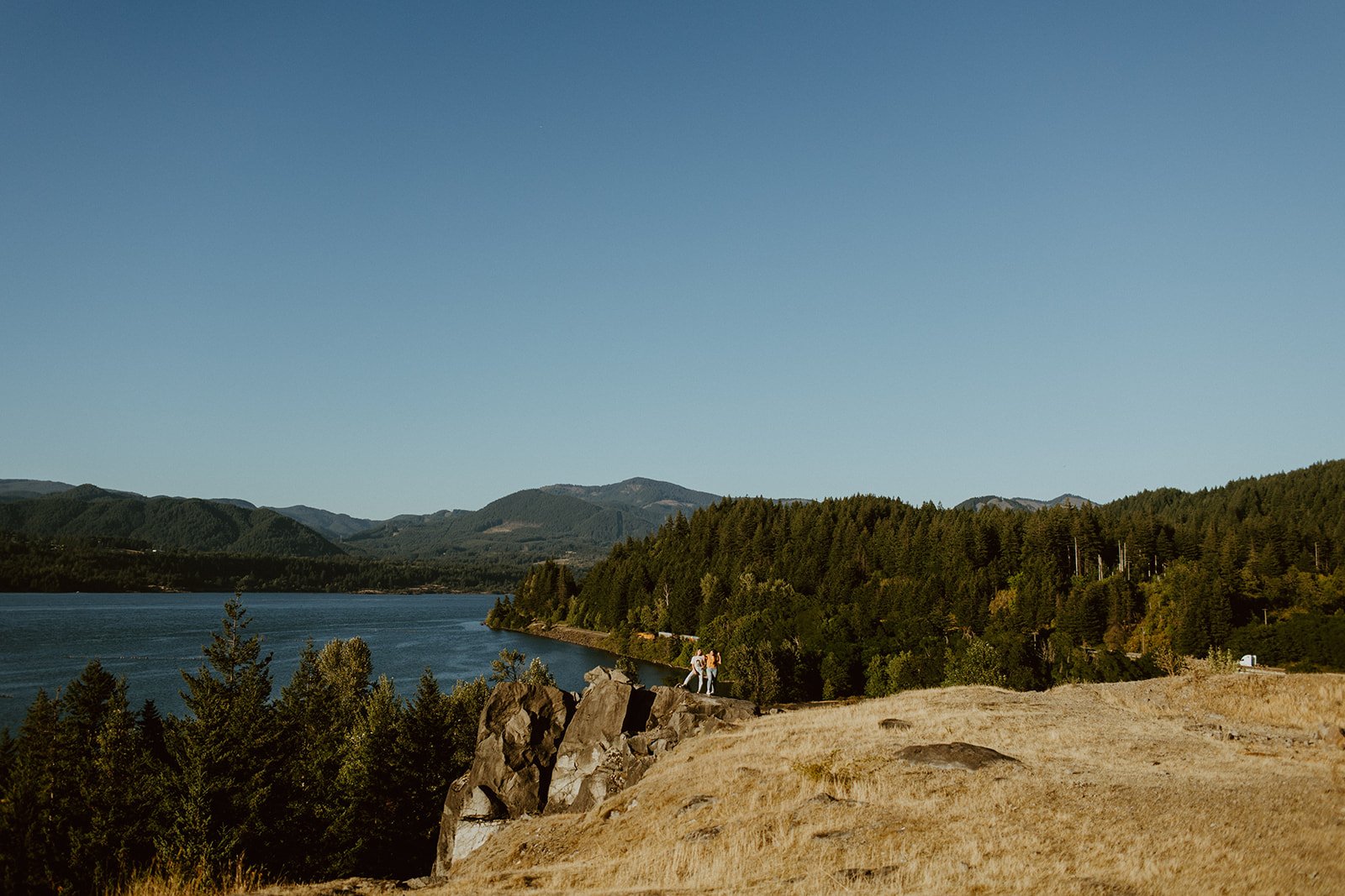 Welcome to Hey Thriver - Free and Paid resources to help creatives build a thriving business.jpg
