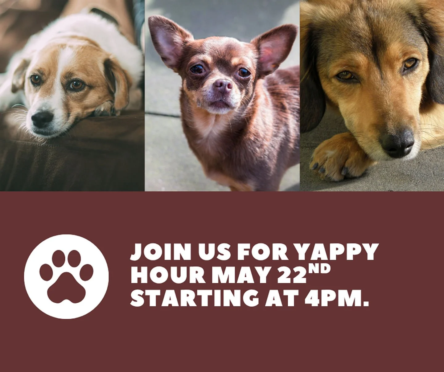 🐾 Join us for Yappy Hour on May 22nd! Bring your furry friends for a paws-itively fun meet and greet, and don't forget to grab a pupcup! We'll be wagging our tails from 4 PM to 6 PM. See you there! 🐶✨