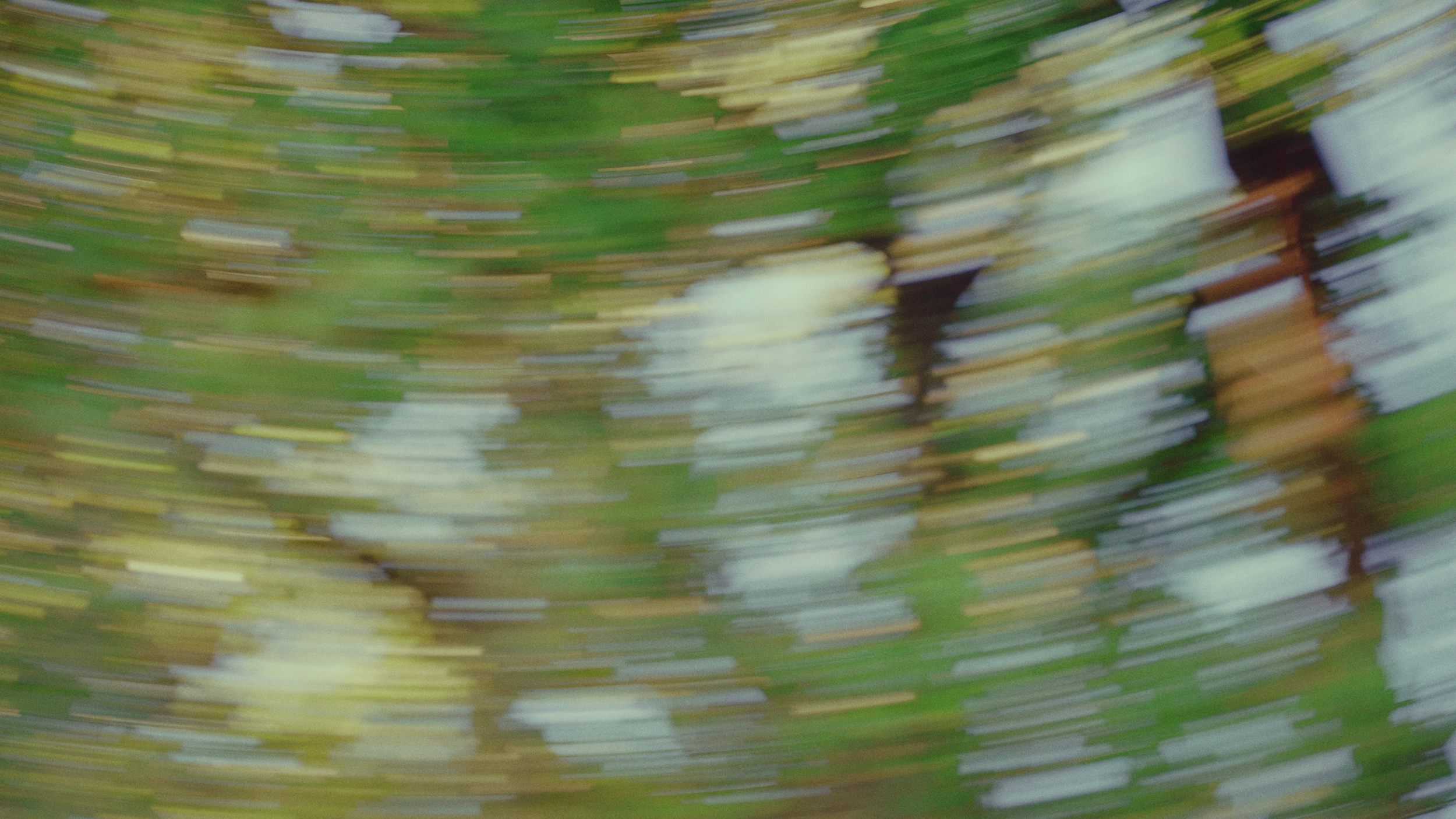 Untitled_1.1.1.png