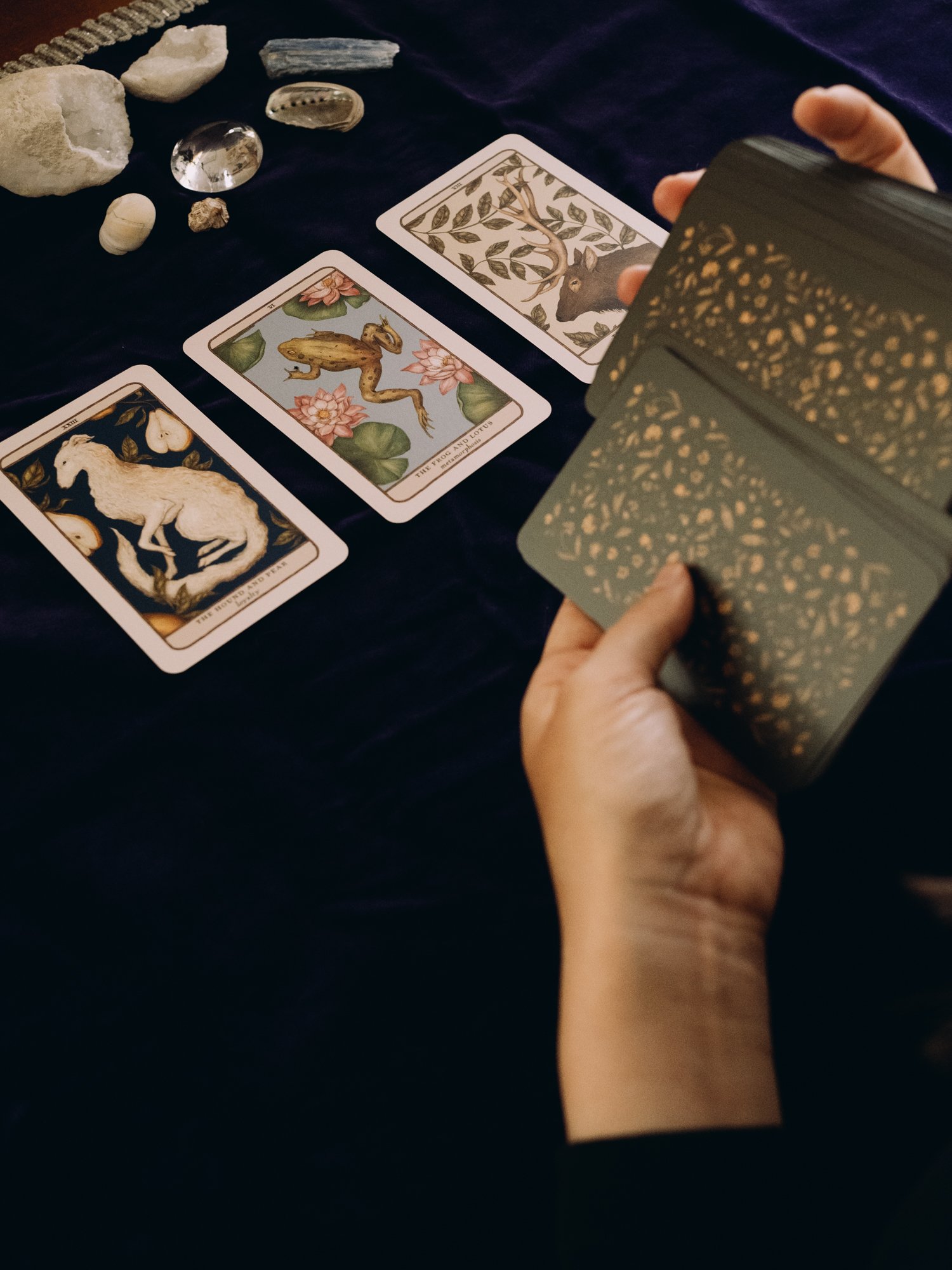 Person holding a tarot card deck with a dark background and several tarot cards laid out on the table, including The World, The Moon and The Fool, along with crystals and stones.