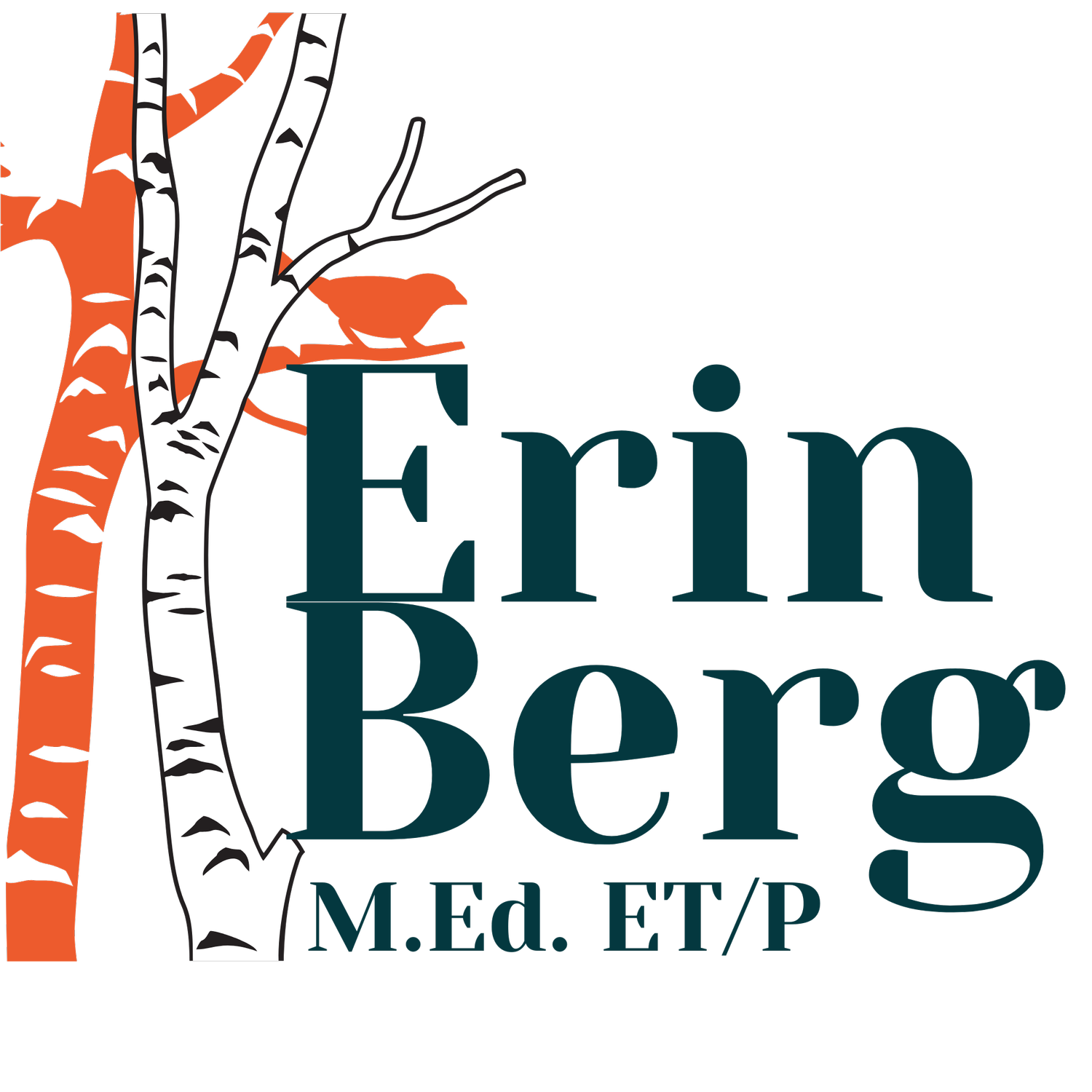 Erin Berg - Silicon Valley Educational Therapist