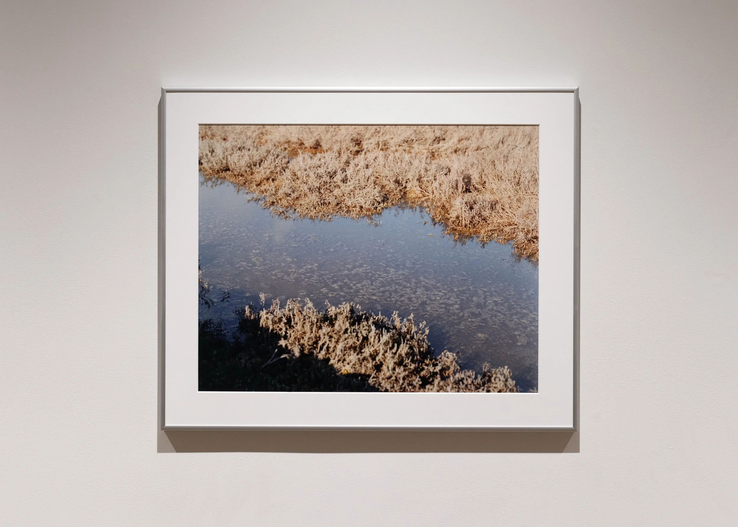 Baylands Gelatin Silver Print 16x20 in., 2025)