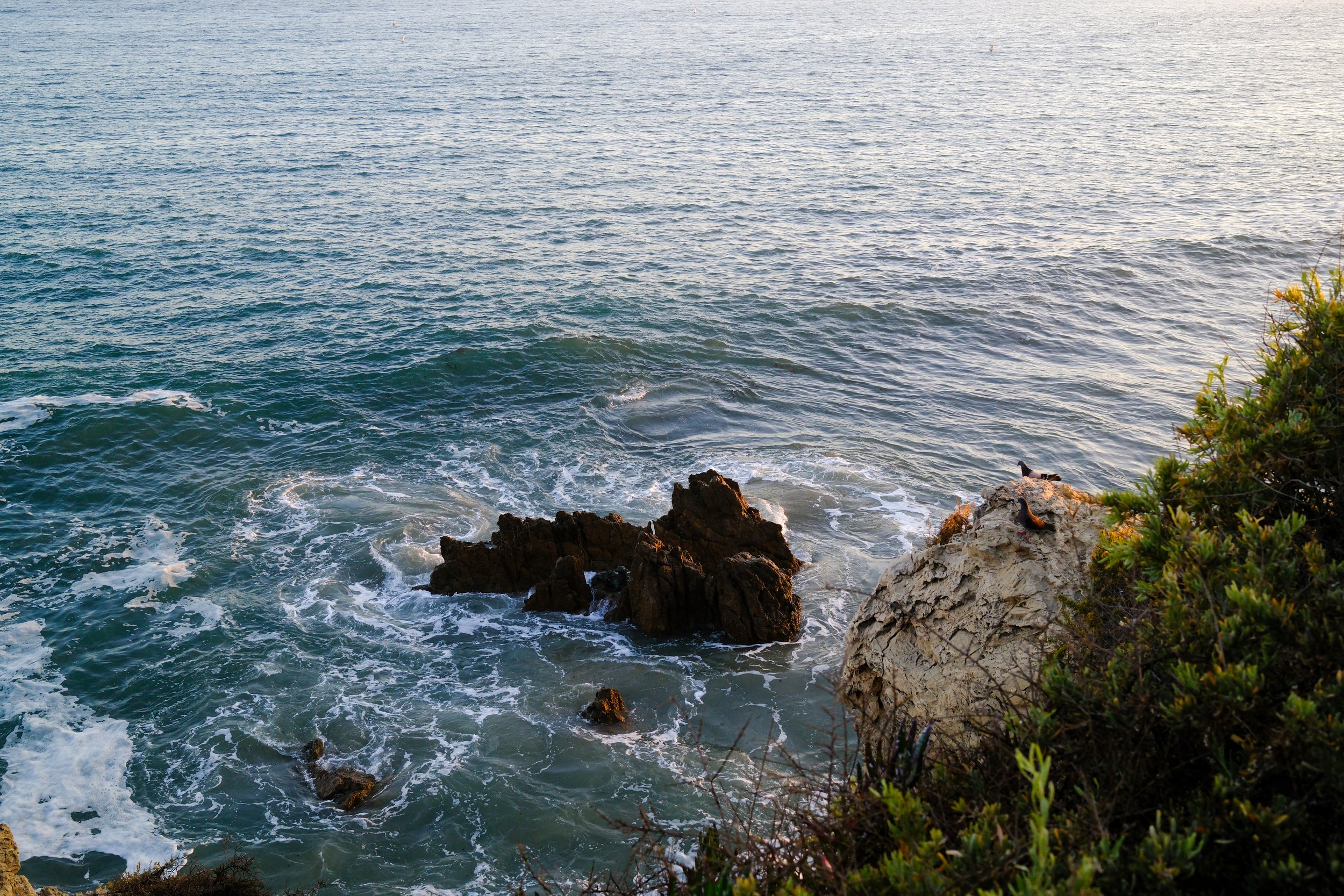 DSCF4765.JPG