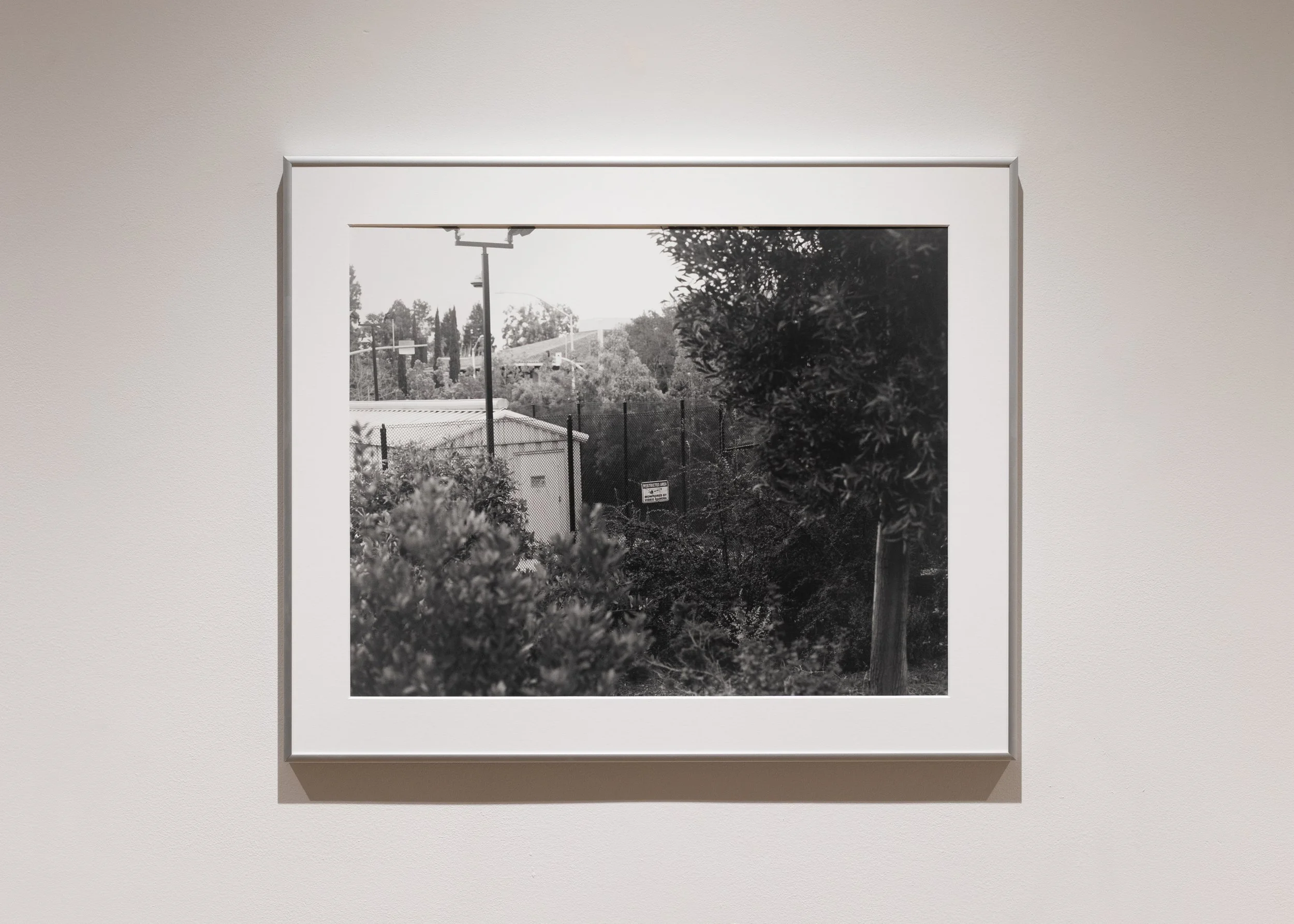 3350 Hanover St (Gelatin Silver Print 16x20 in., 2025)