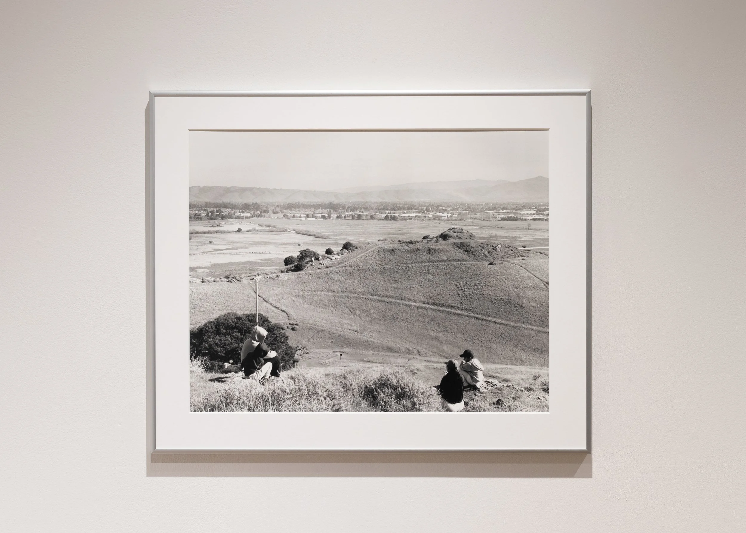 Coyote Hills Regional Park I (Gelatin Silver Print 16x20 in., 2025)