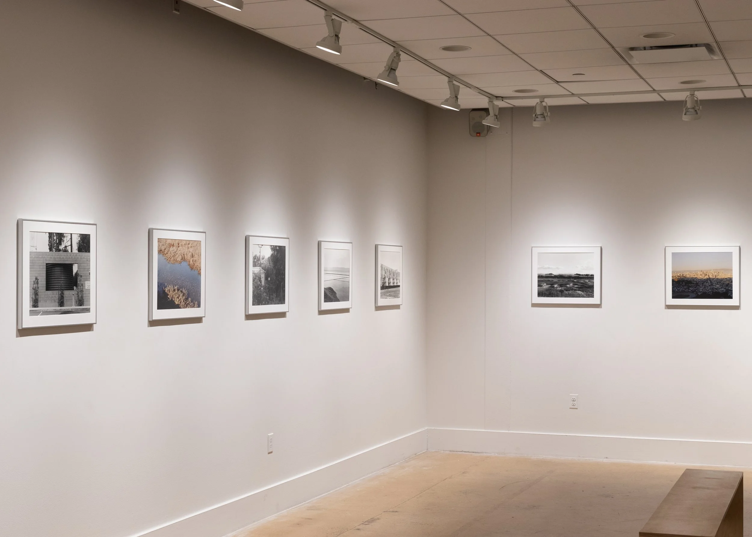ThesisInstallation-9794.JPG