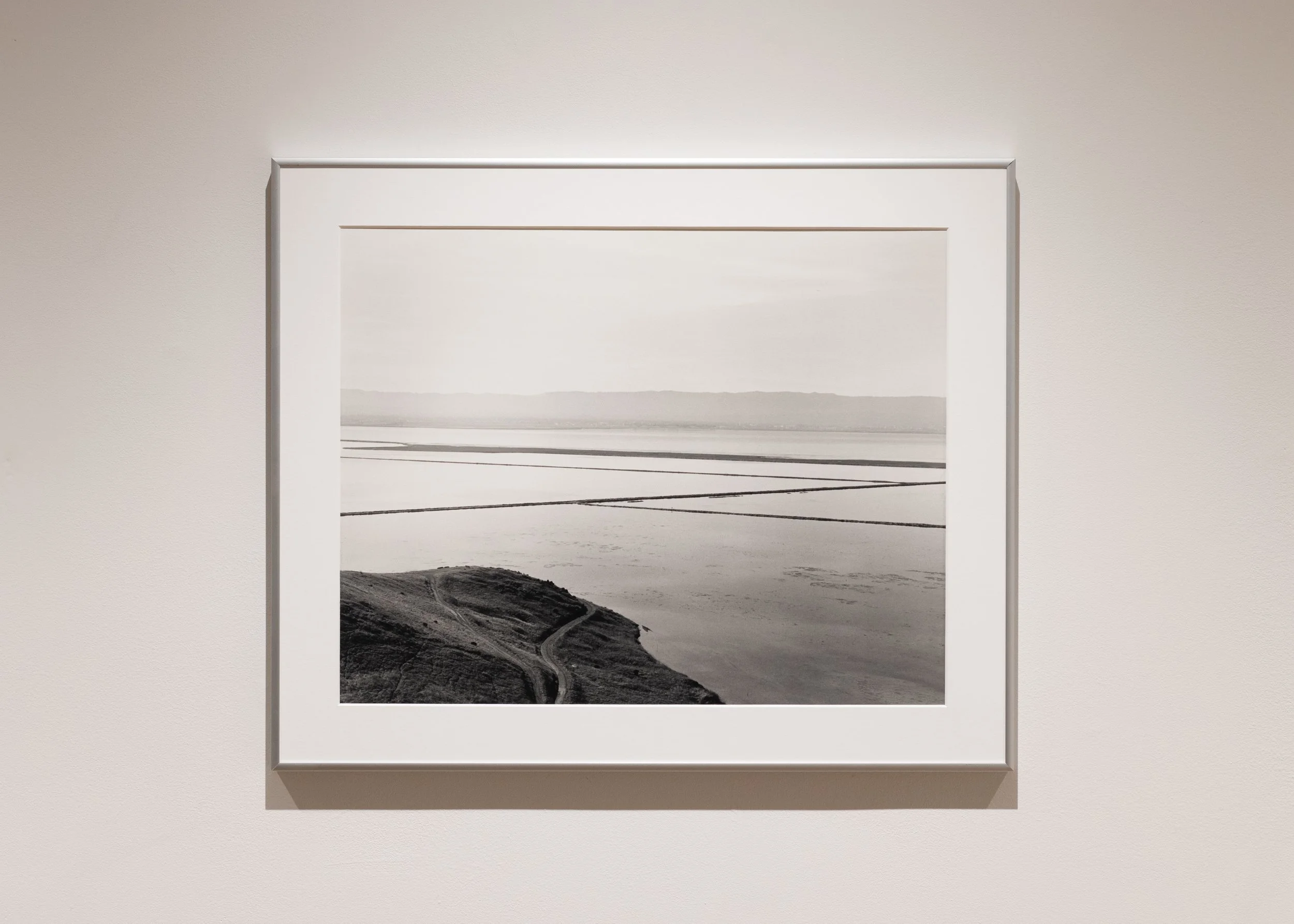 Coyote Hills Regional Park II (Gelatin Silver Print 16x20 in., 2026)