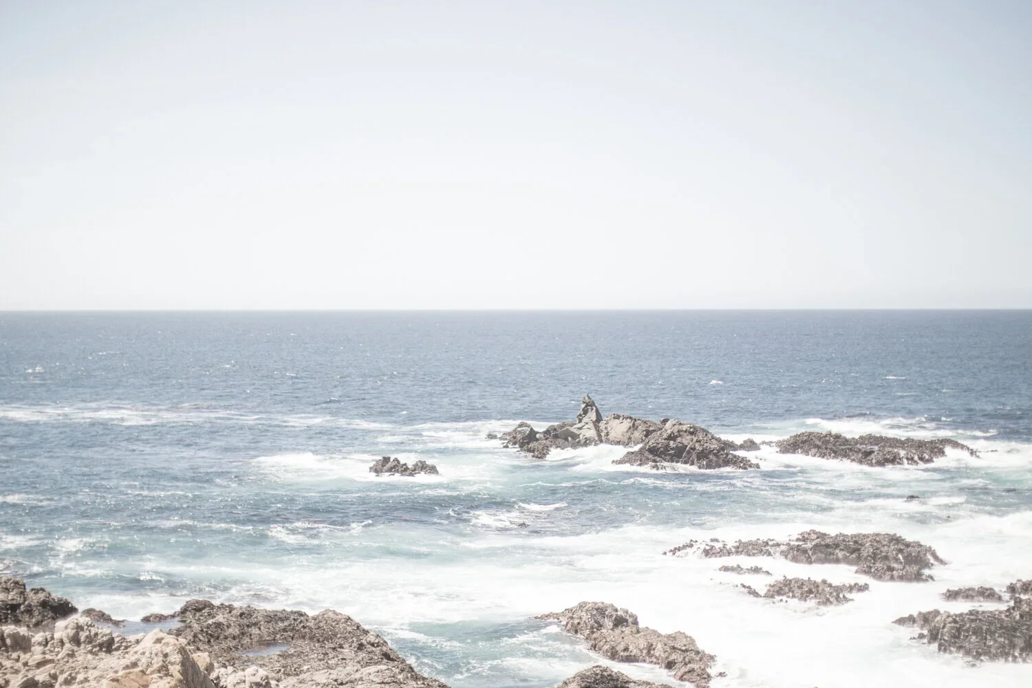 Diving into this Blog with: Rethinking Health in a Complex World