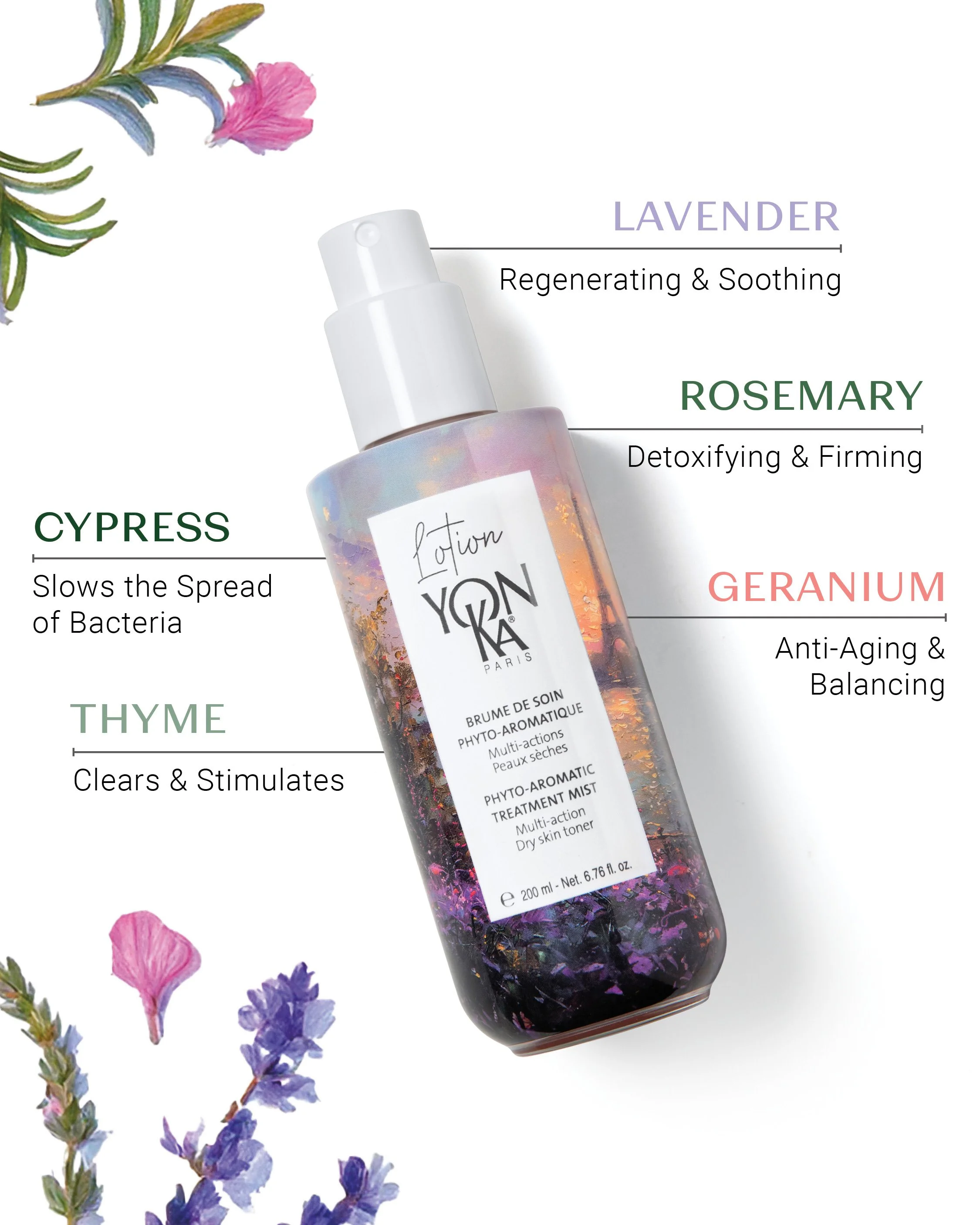 Deliverable #5-LE Lotion PS Ingredients.jpg