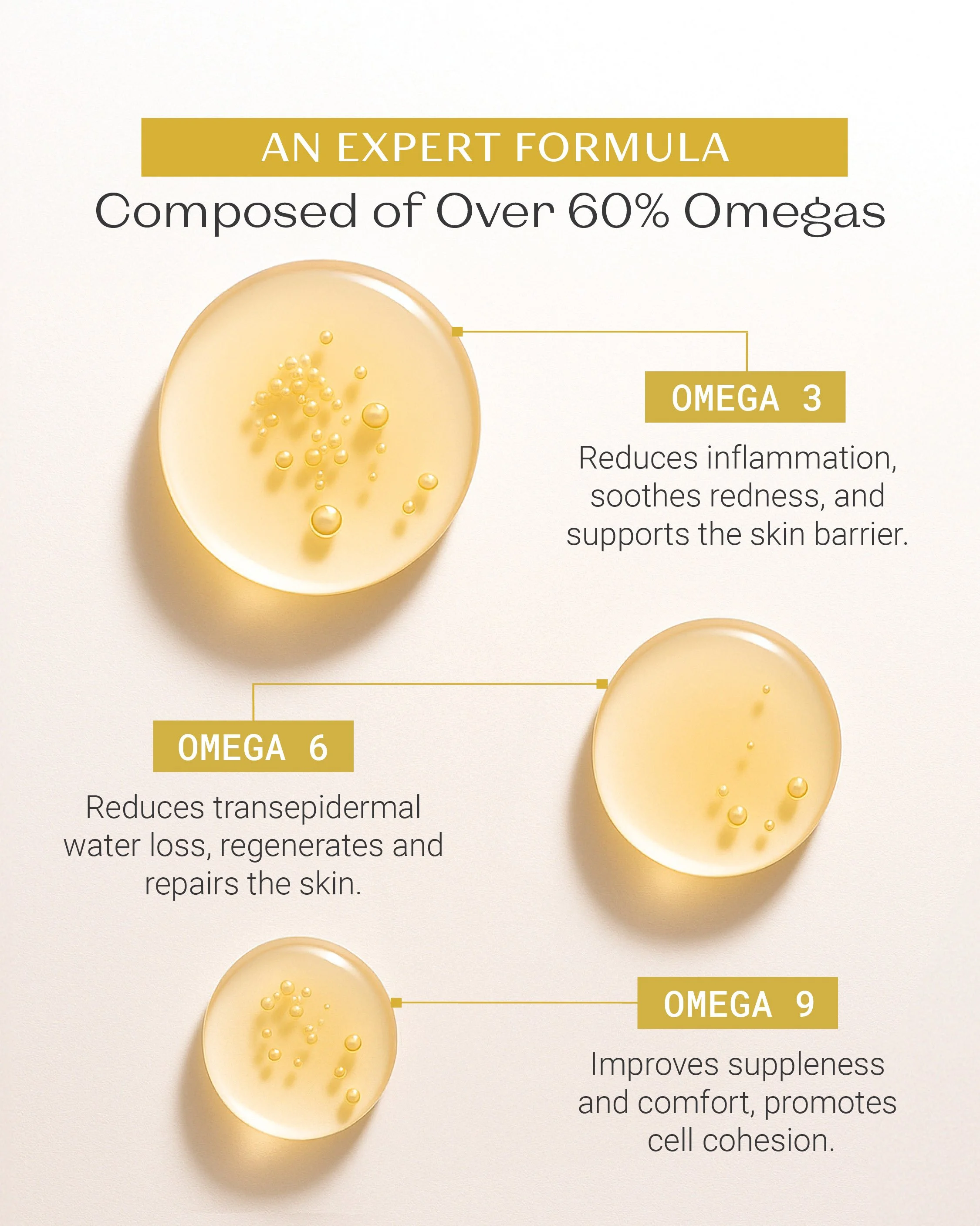 Serum Omega_Deliverable #2.jpg