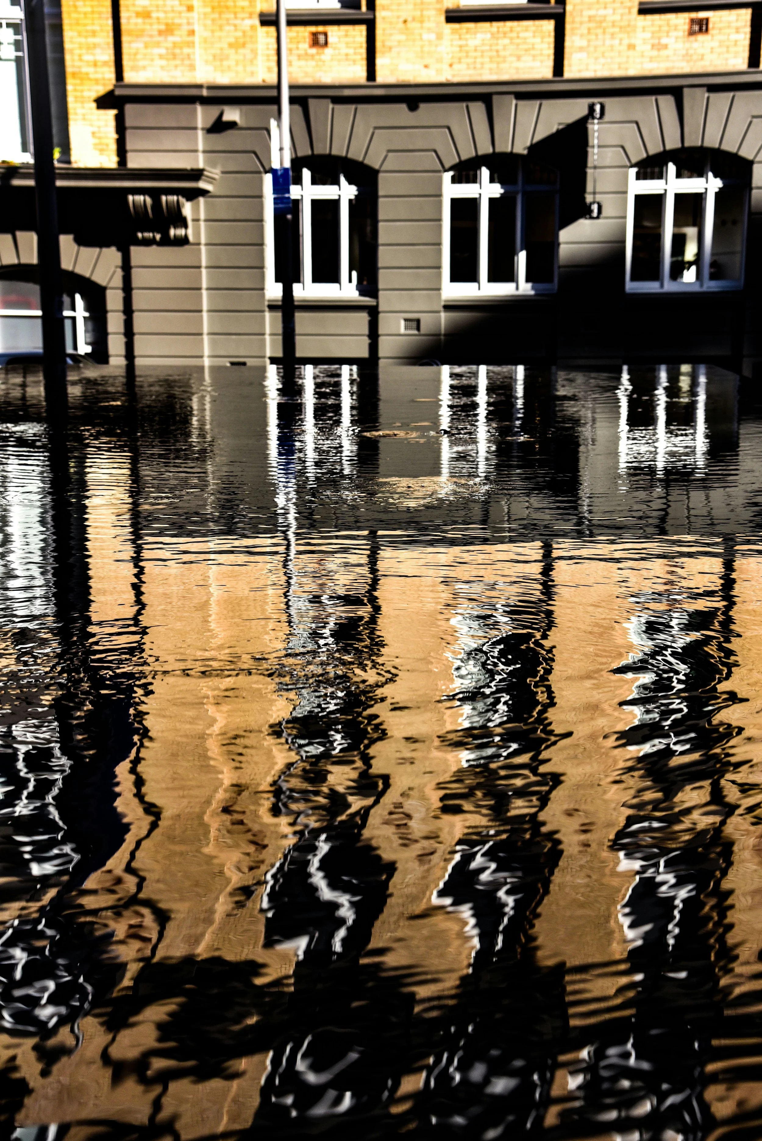 The Dangers of Standing Water Inside Your Building