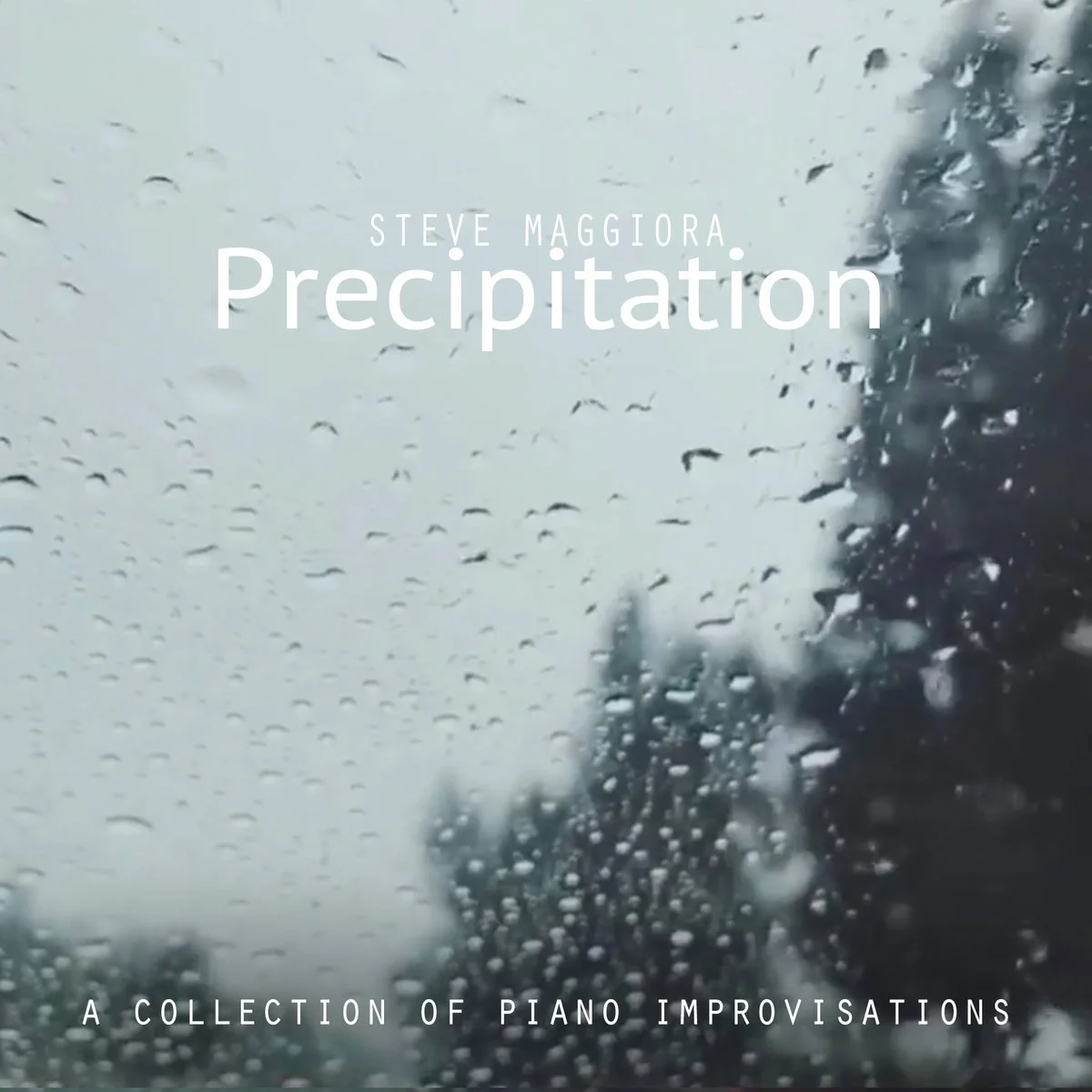 Steve Maggiora - Precipitation.jpeg