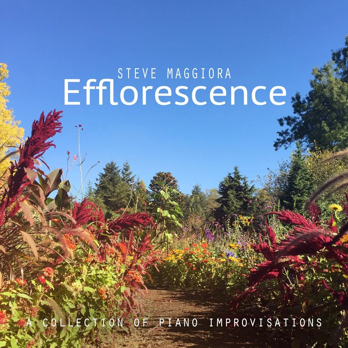 Steve Maggiora - Efflorescence.jpeg