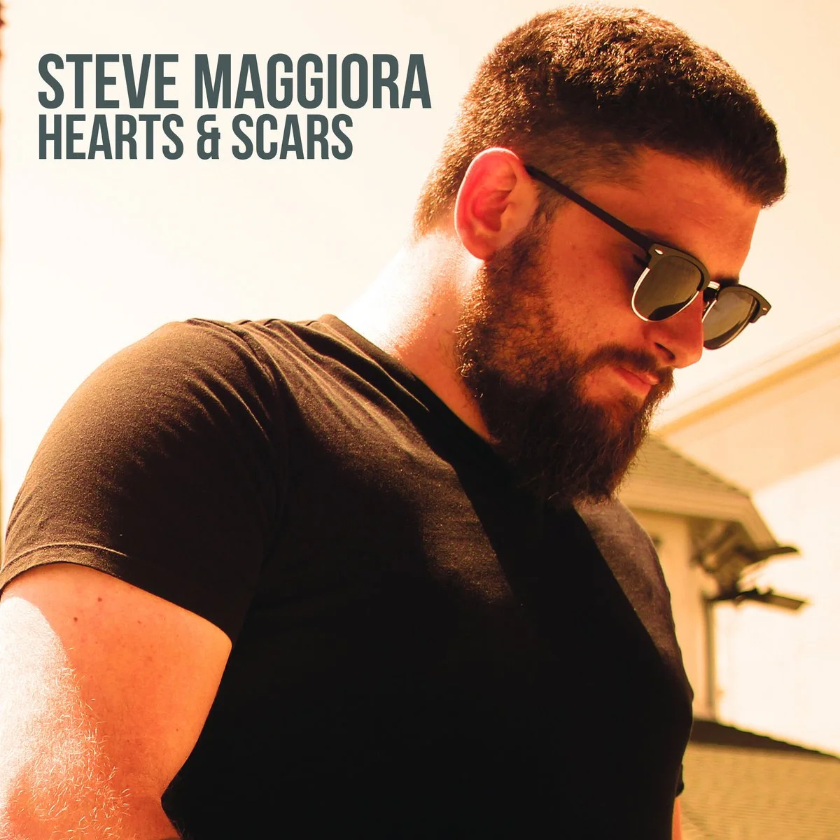 Steve Maggiora - Hearts & Scars.jpeg