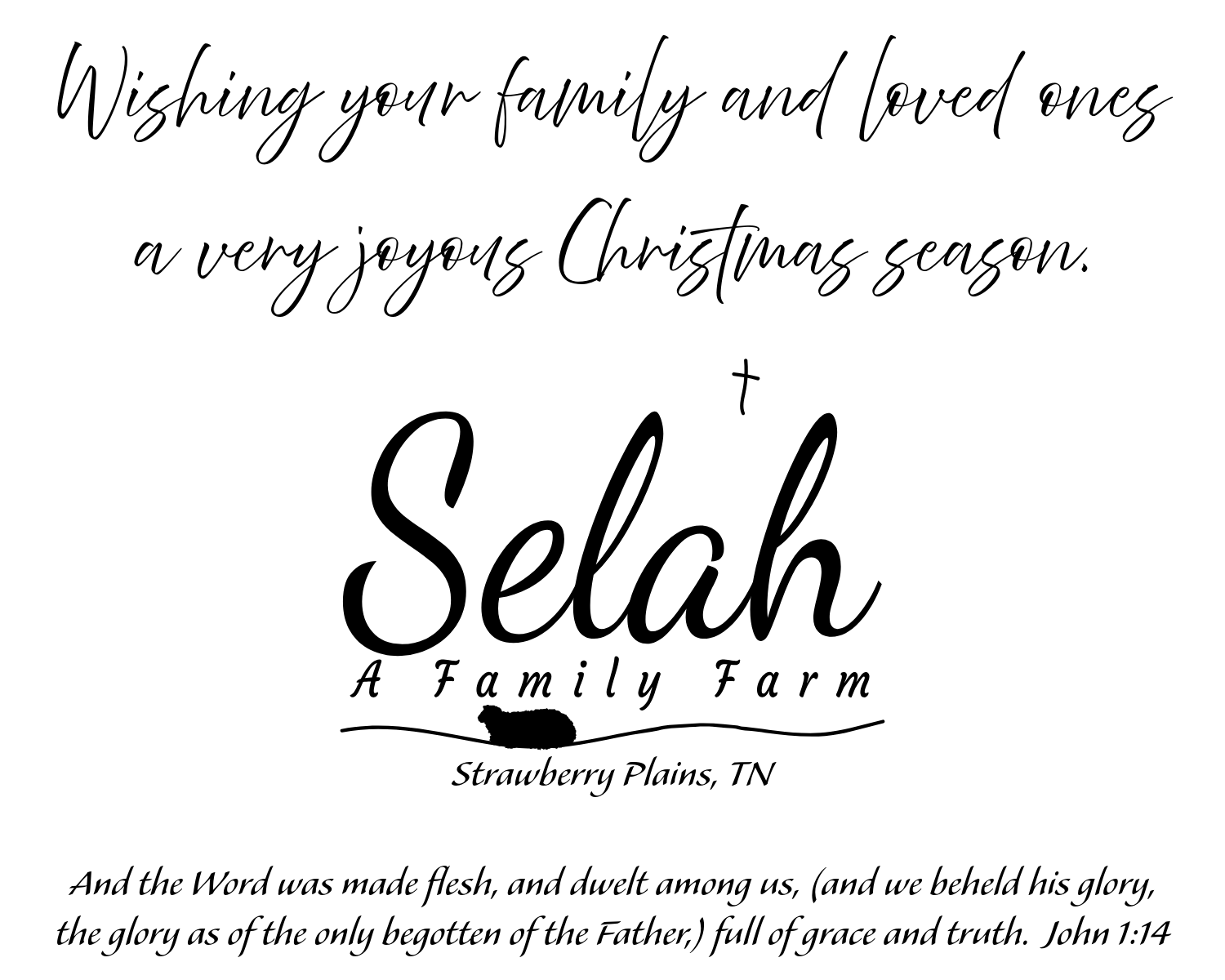selah ad.png