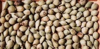 Kakadu Plum. 200gr. Frozen