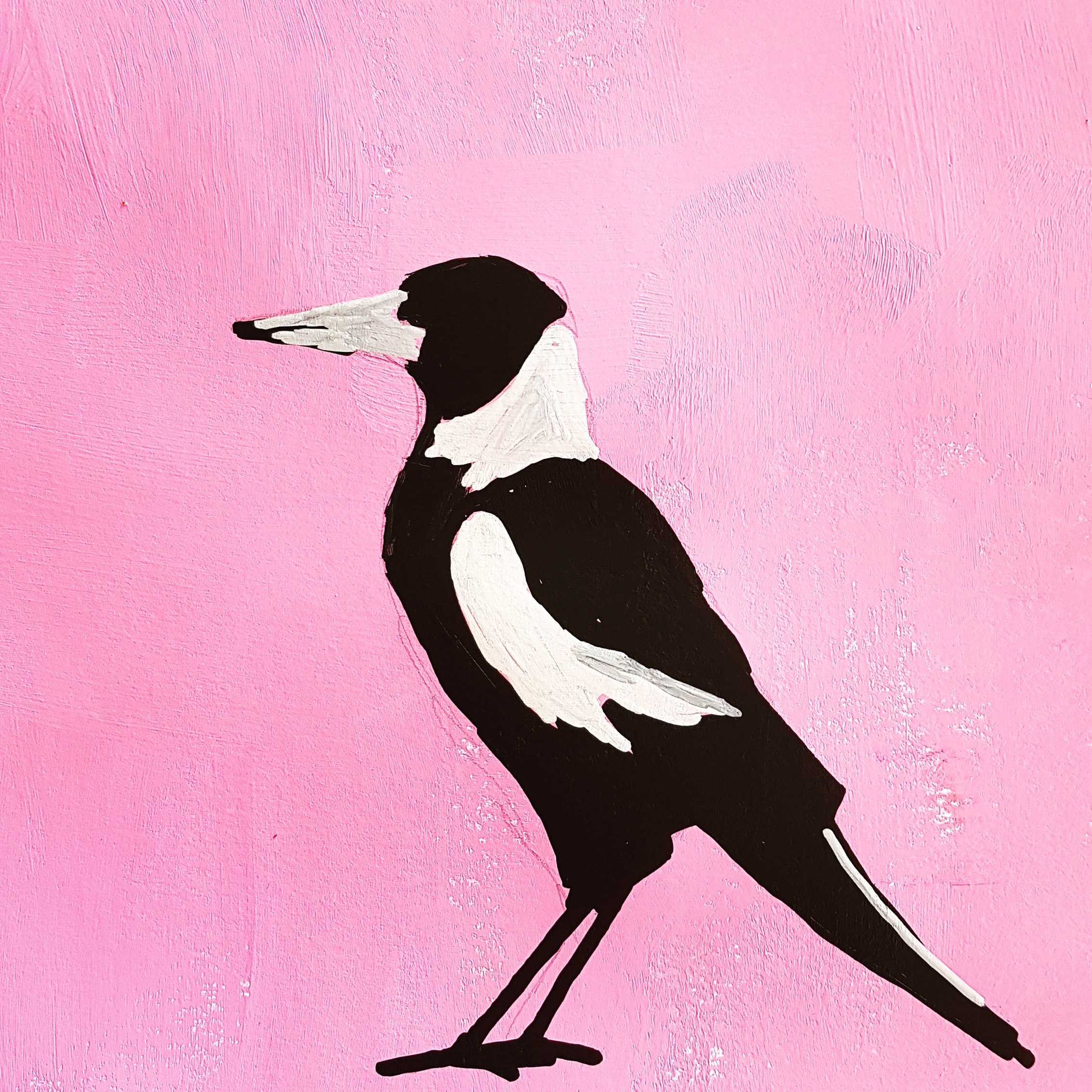 magpie.jpg