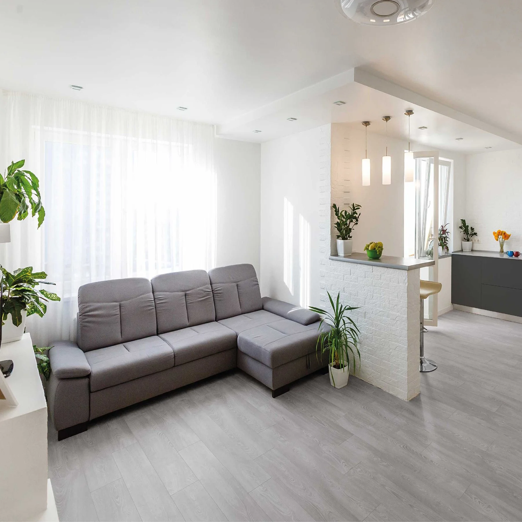 85030 PROSELECT PLUS Versailles.jpg