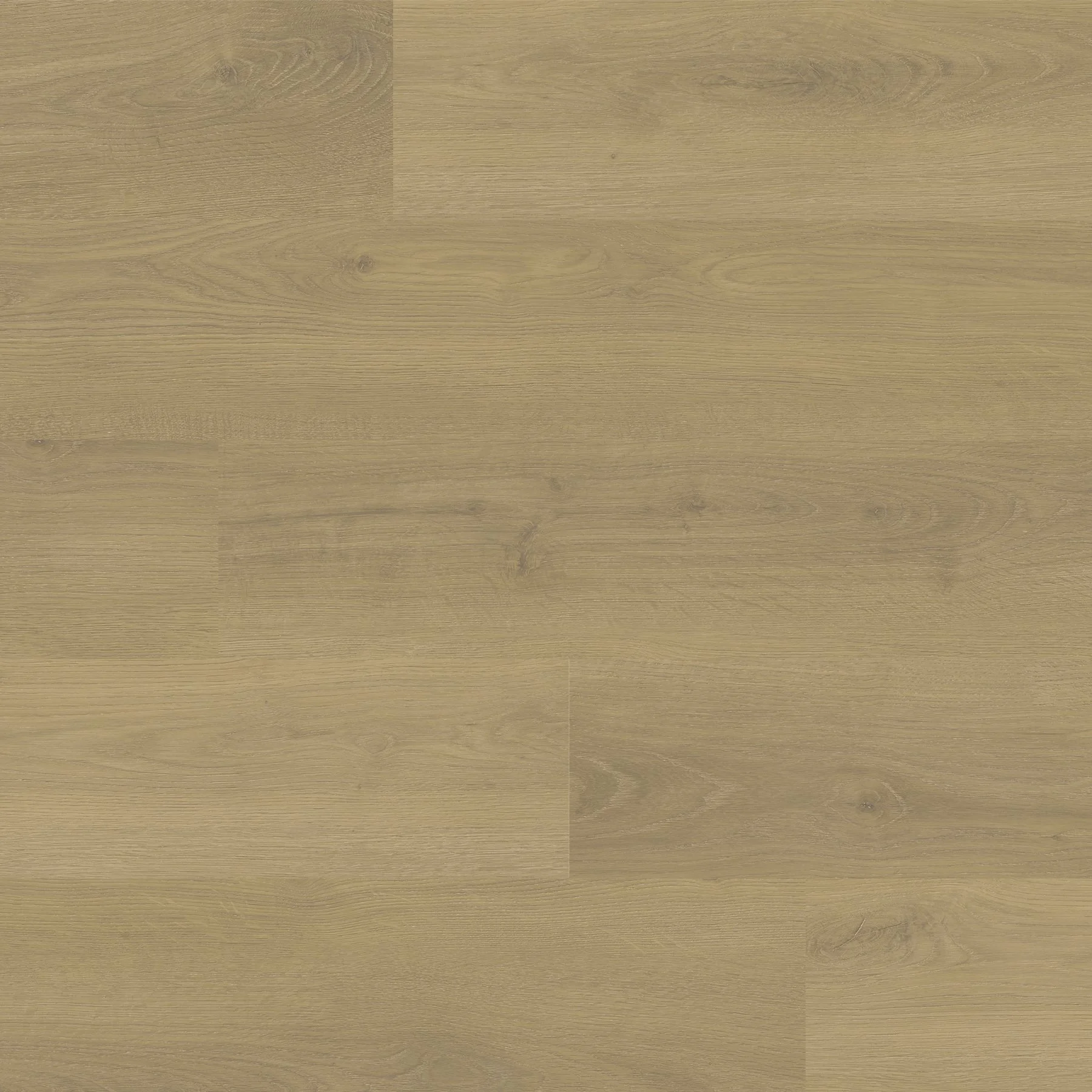 ProSelect_Nordic Oak 85022b.jpg