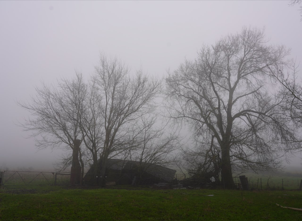 DSC03949.jpeg