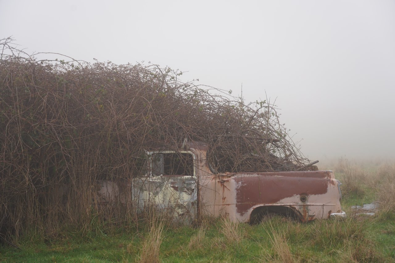 DSC03953.jpeg