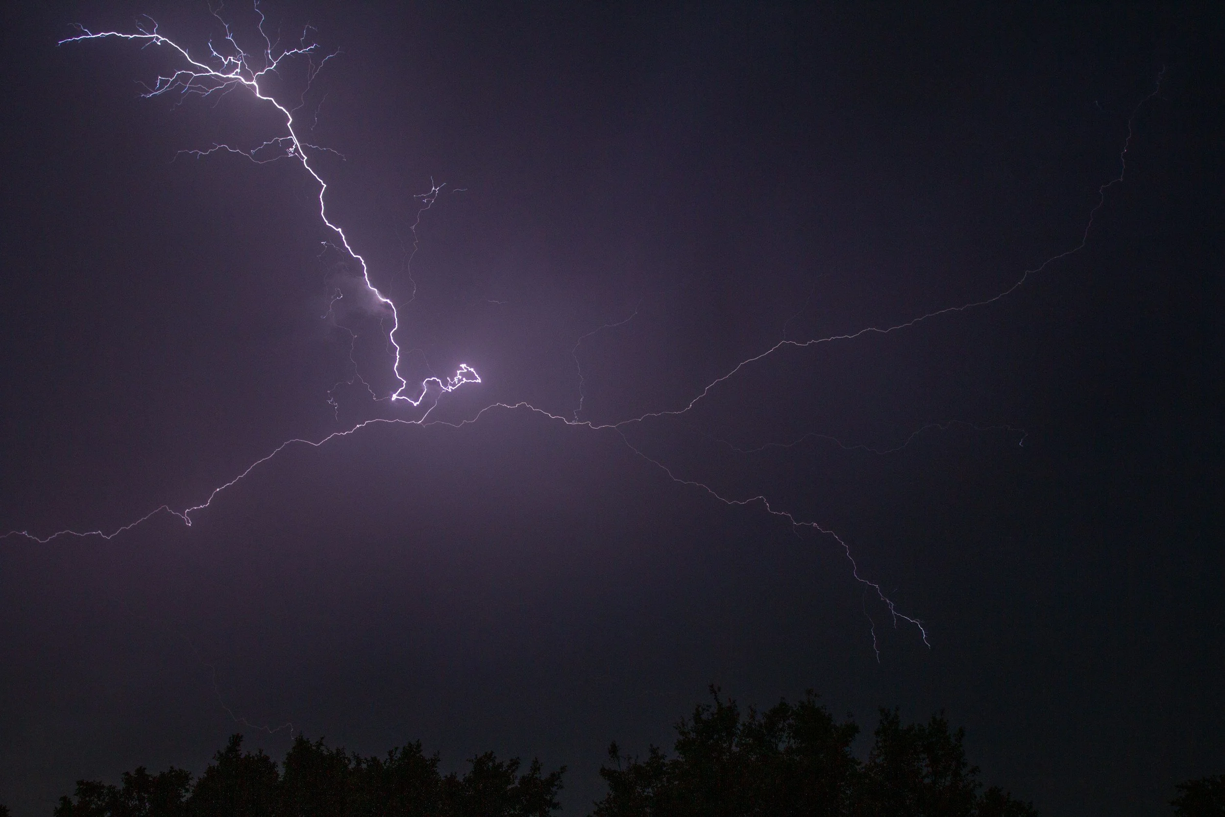 Storm Season in Ipswich: Is That Big Tree a Risk to Your Home?