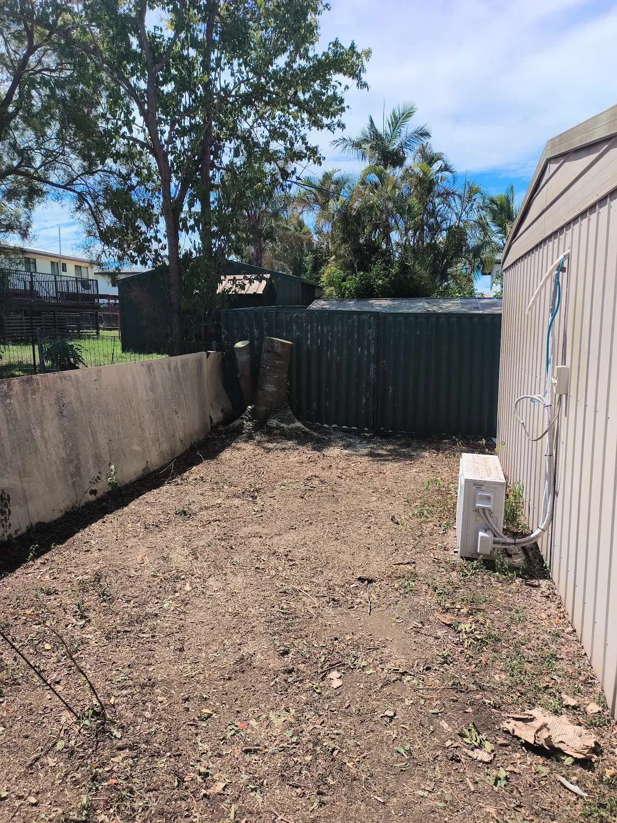 What to Expect During a Tree Removal