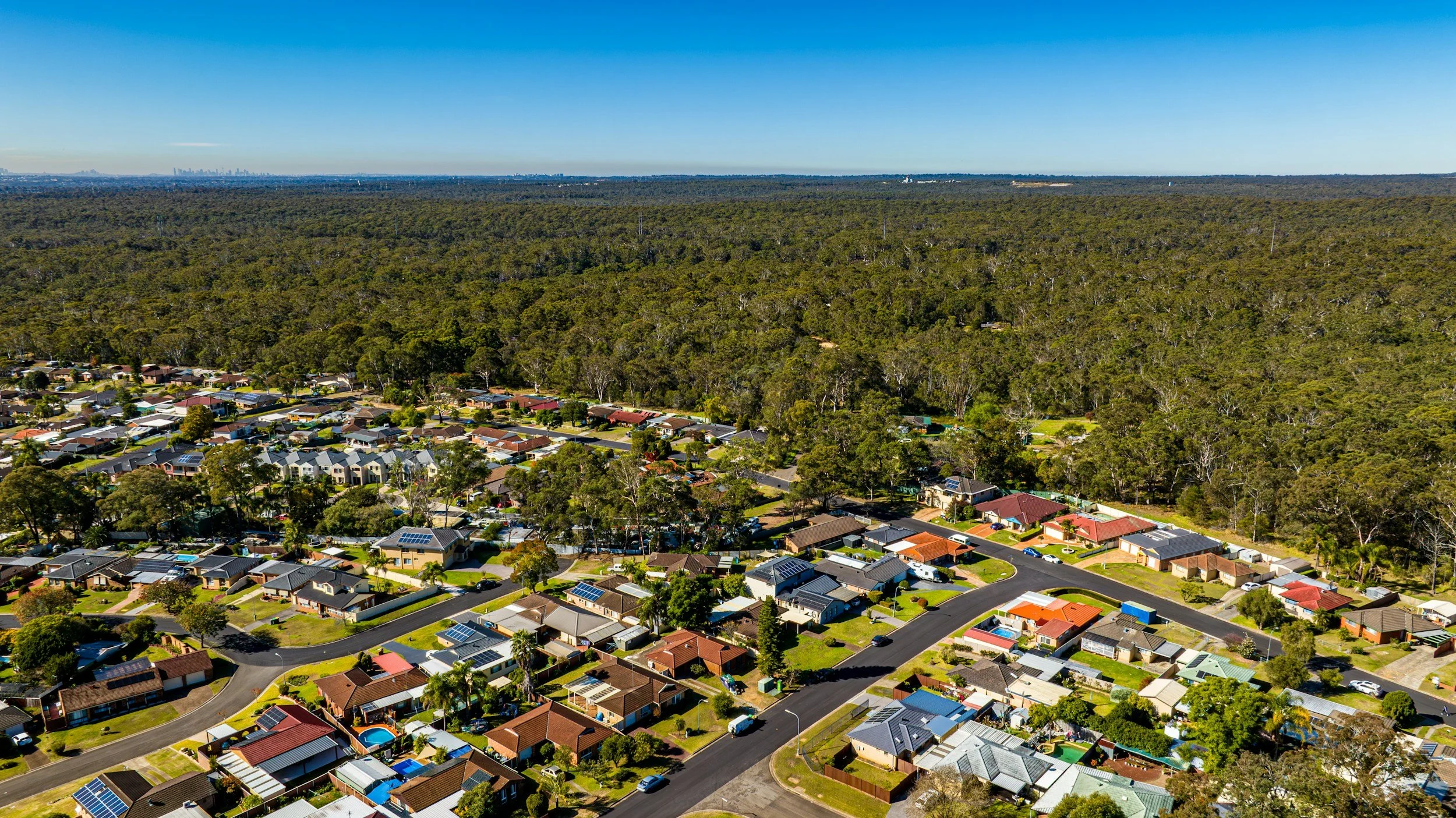 7 Fast-Growing Trees in Brisbane &amp; Ipswich — And Why Fast Growth Can Become a Problem