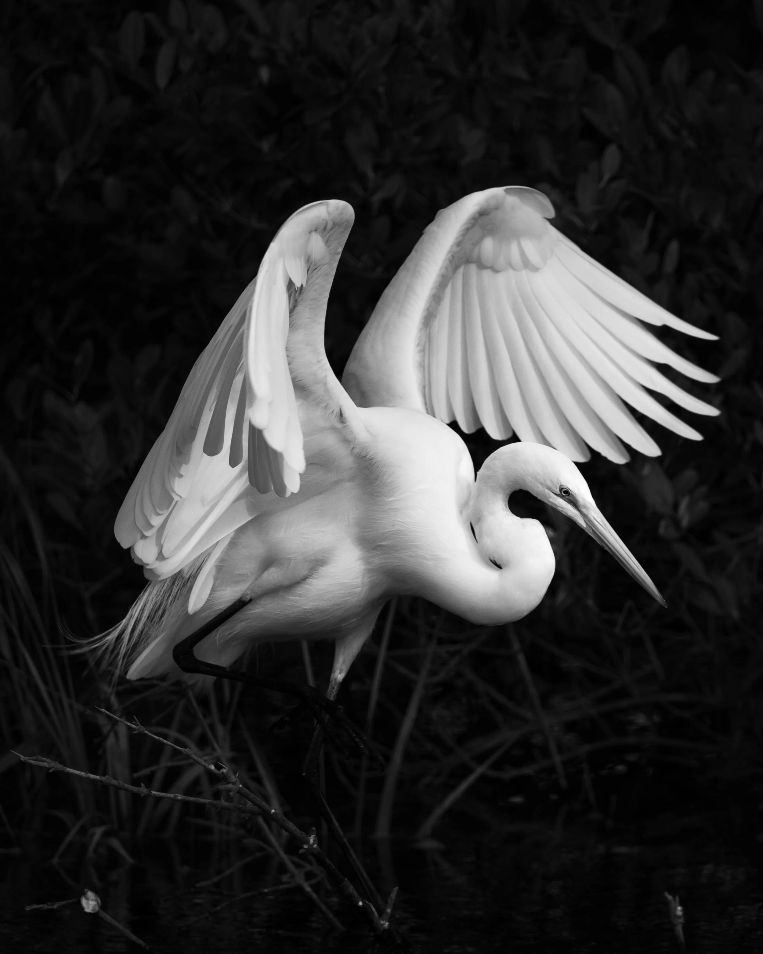 Anastasia State Park 