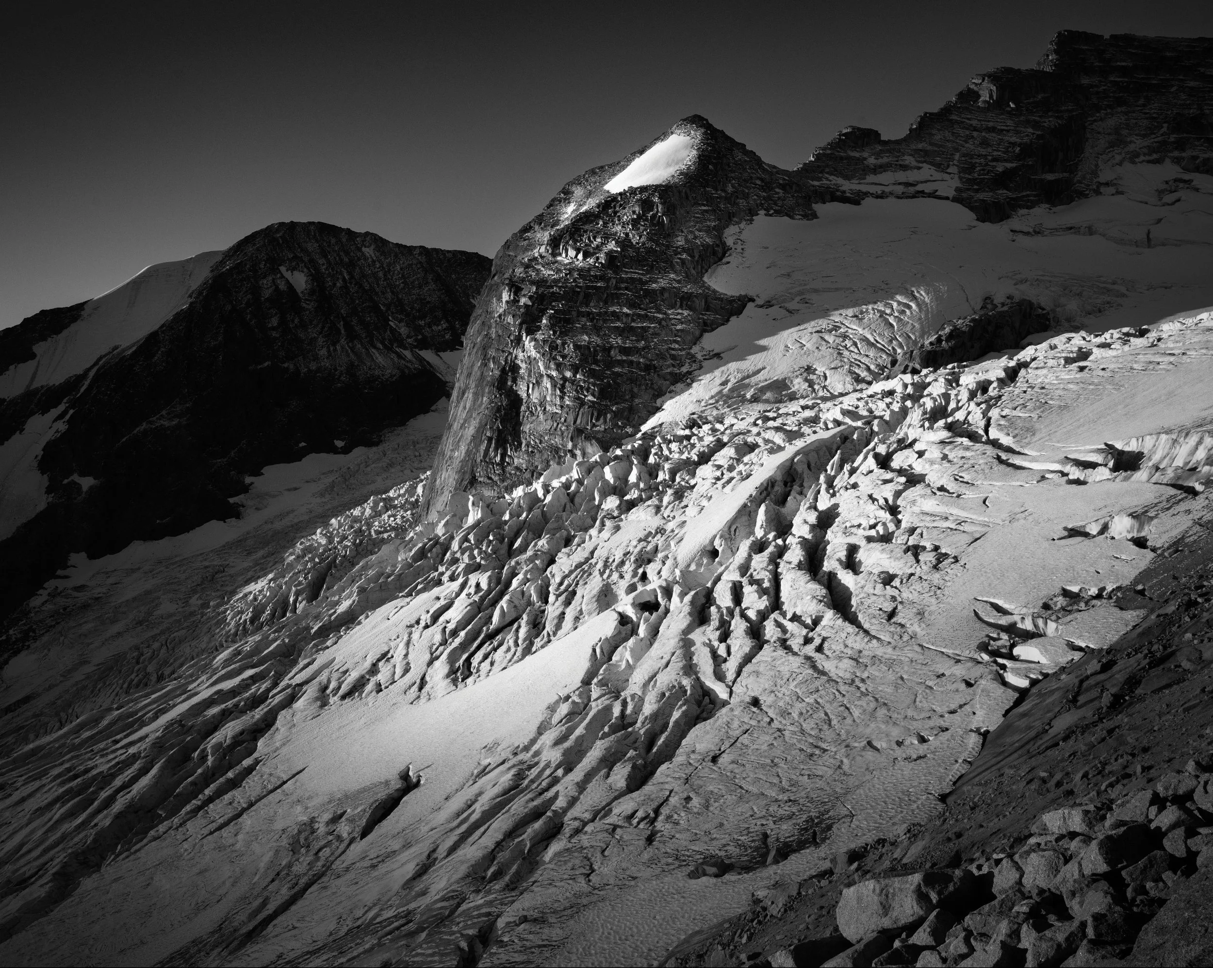 Cathedral of Silence