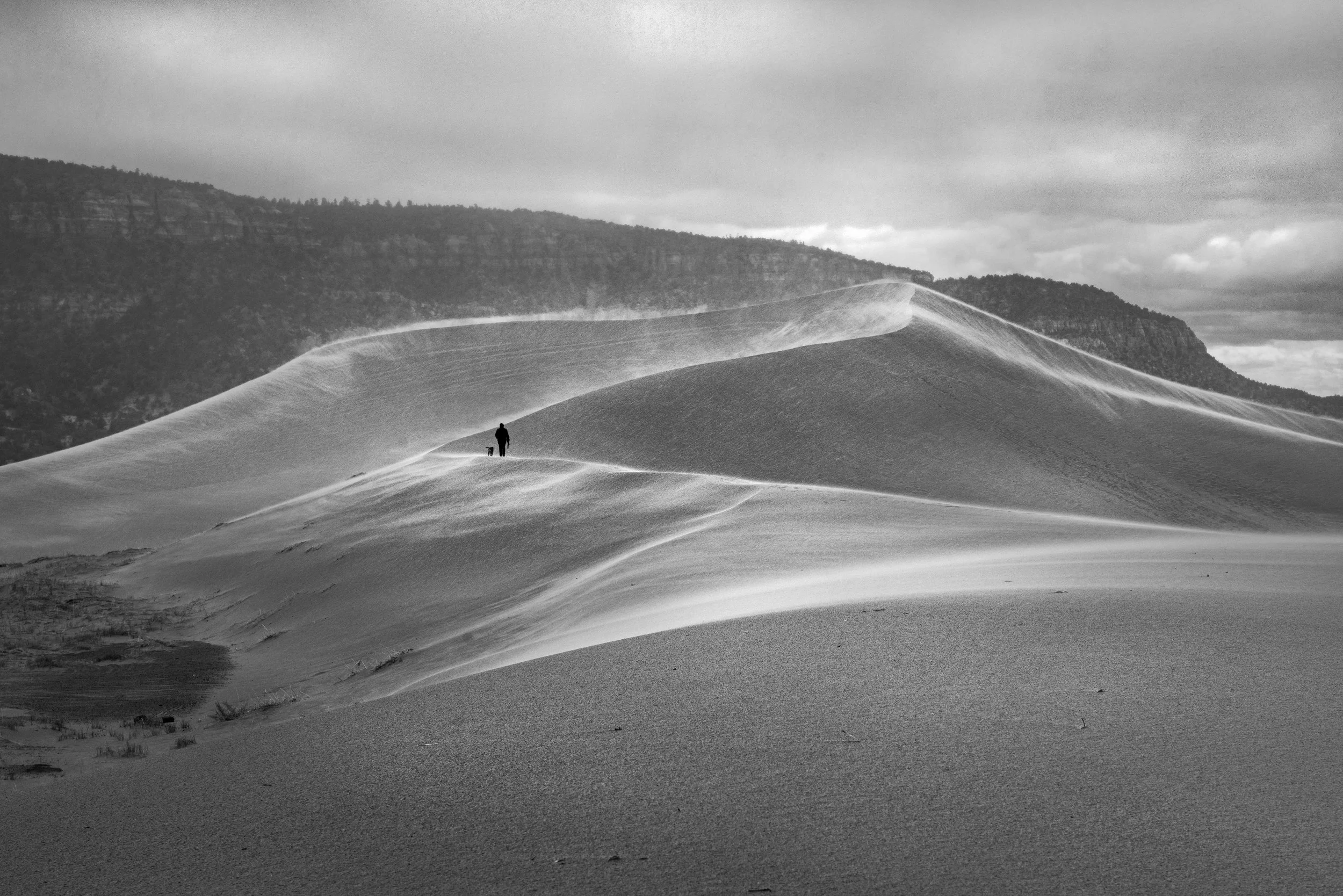 Coral Pink Sand Dunes State Park