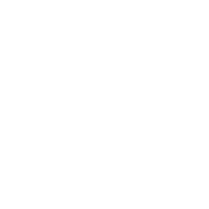 Bowers Photography Logo Mark