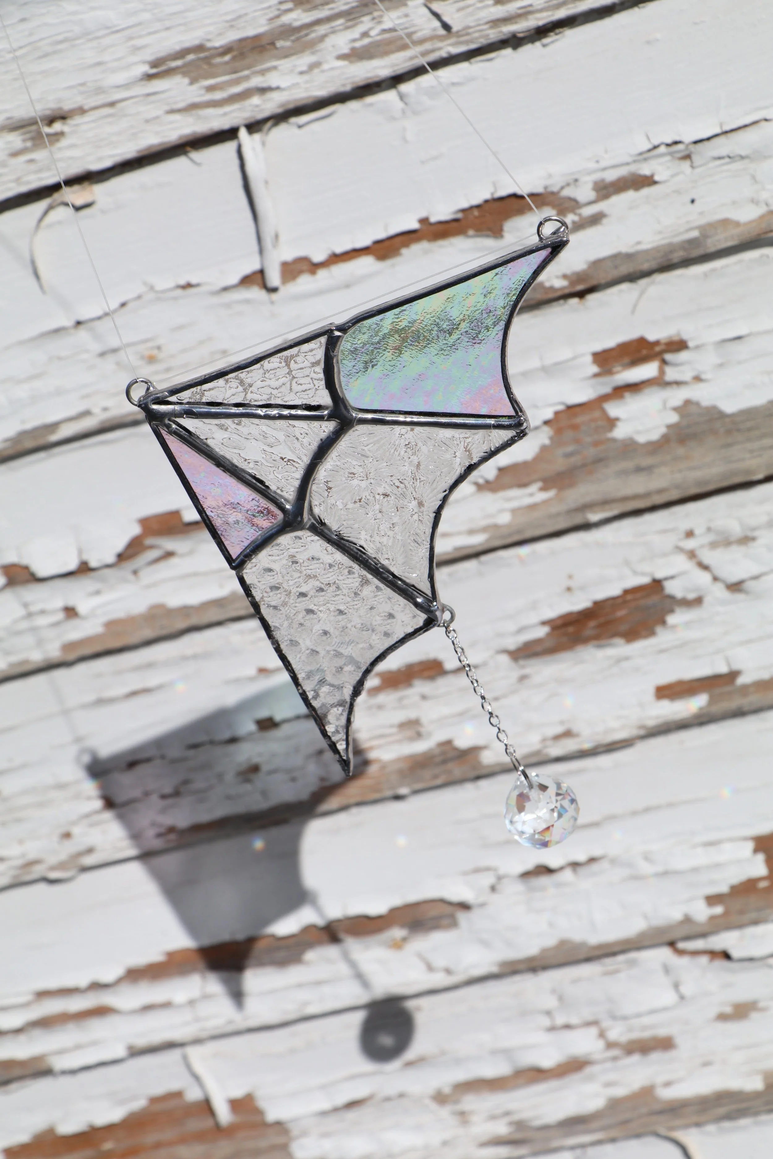 spiderweb 3.jpg (Copy)