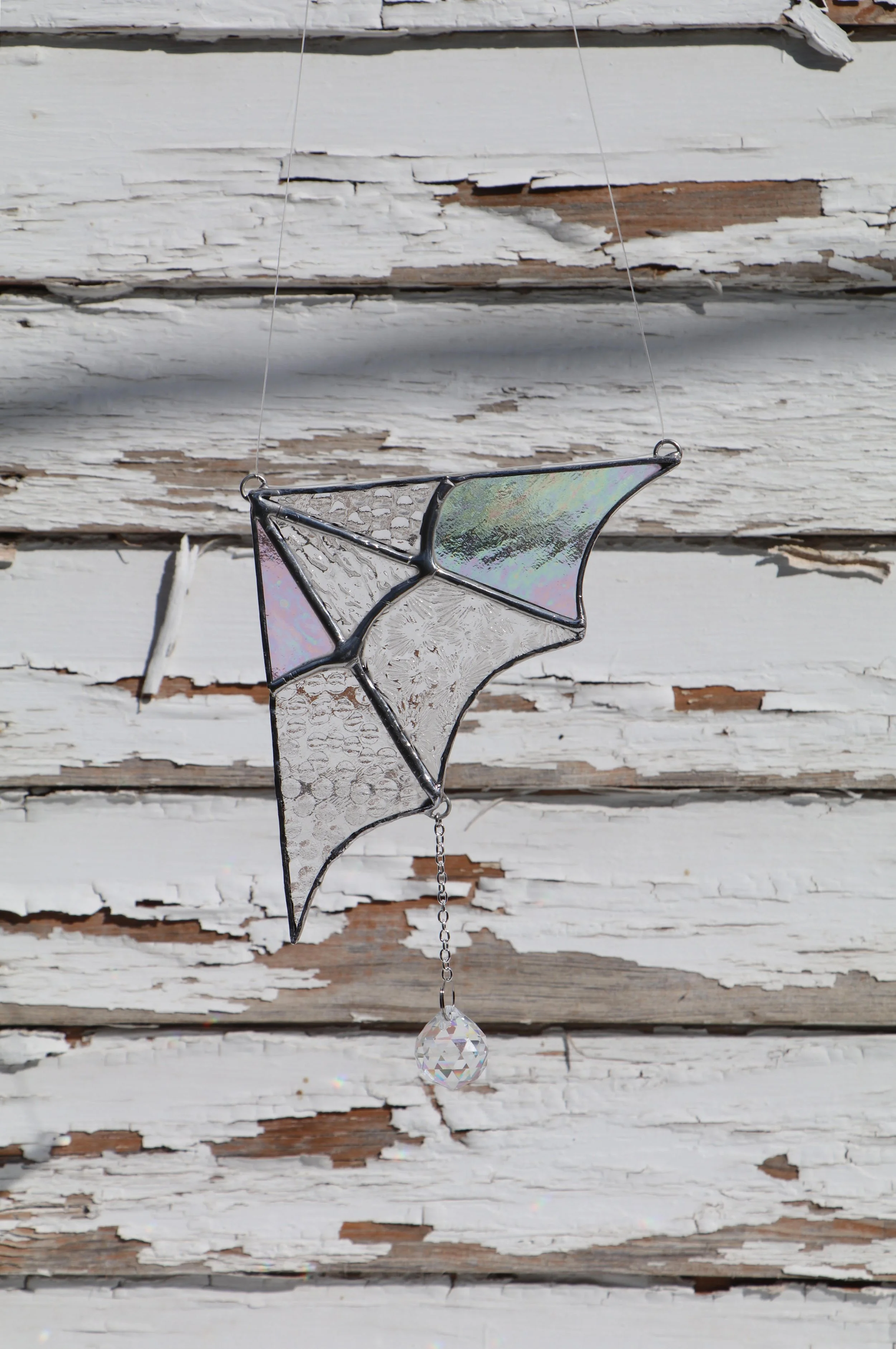 spiderweb 4.jpg (Copy)