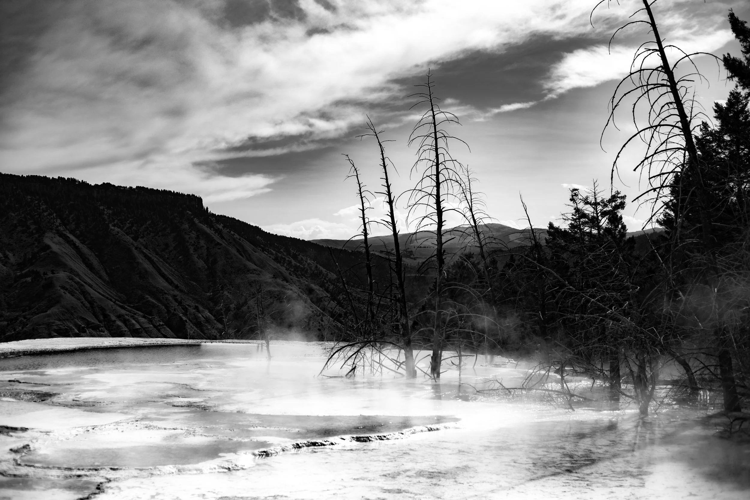 photo-09142025-Montana-Yellowstone-7.jpg