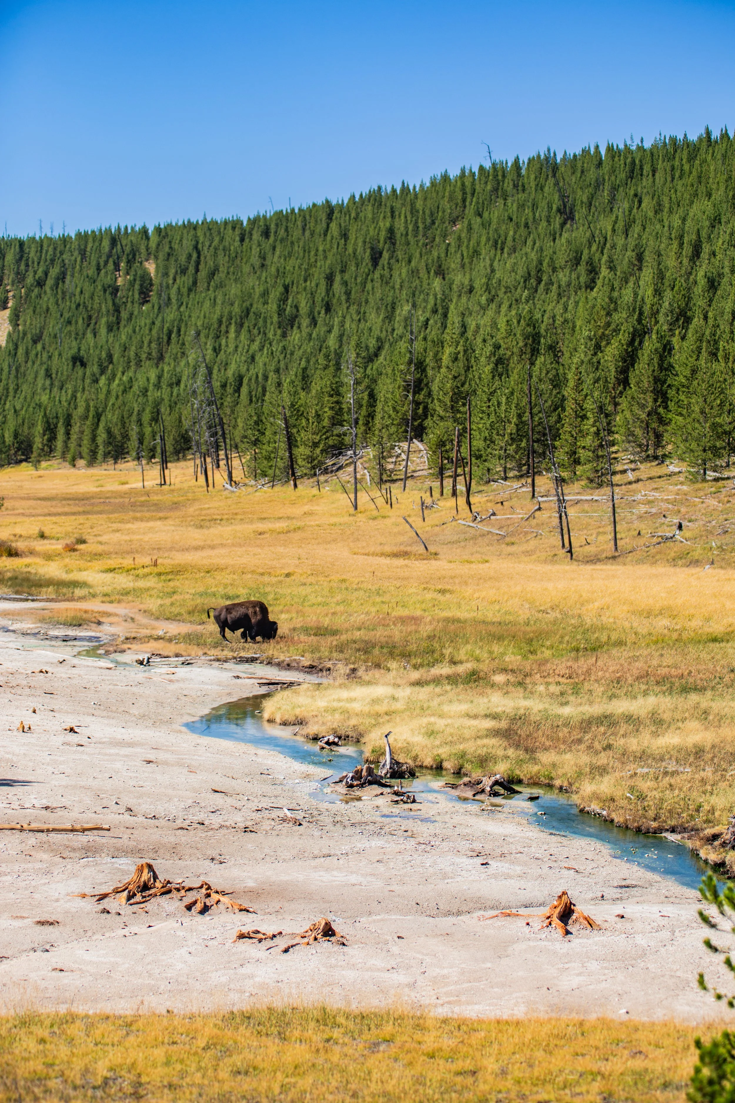 photo-09142025-Montana-Yellowstone-74.jpg