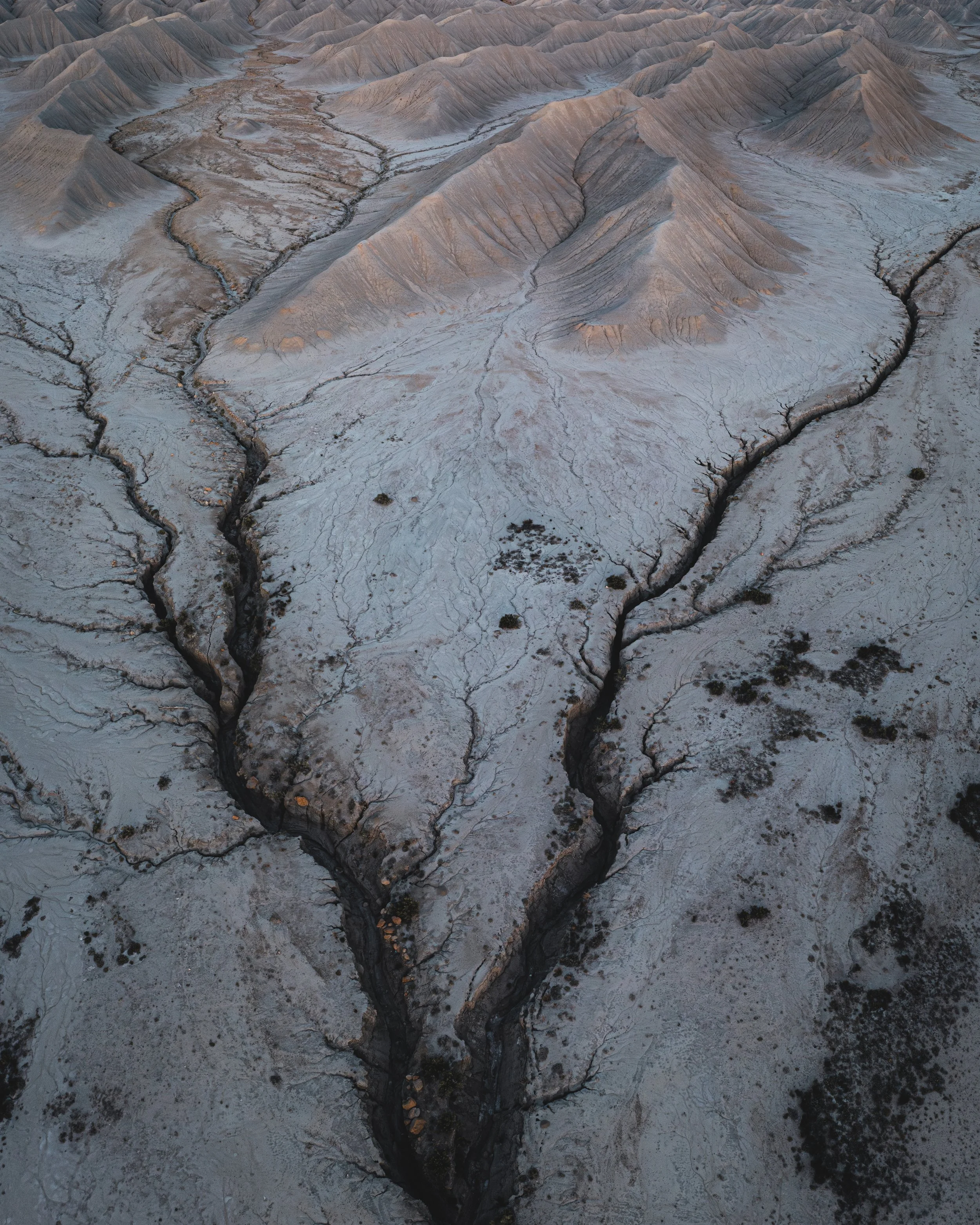 alien landscape preview.jpg