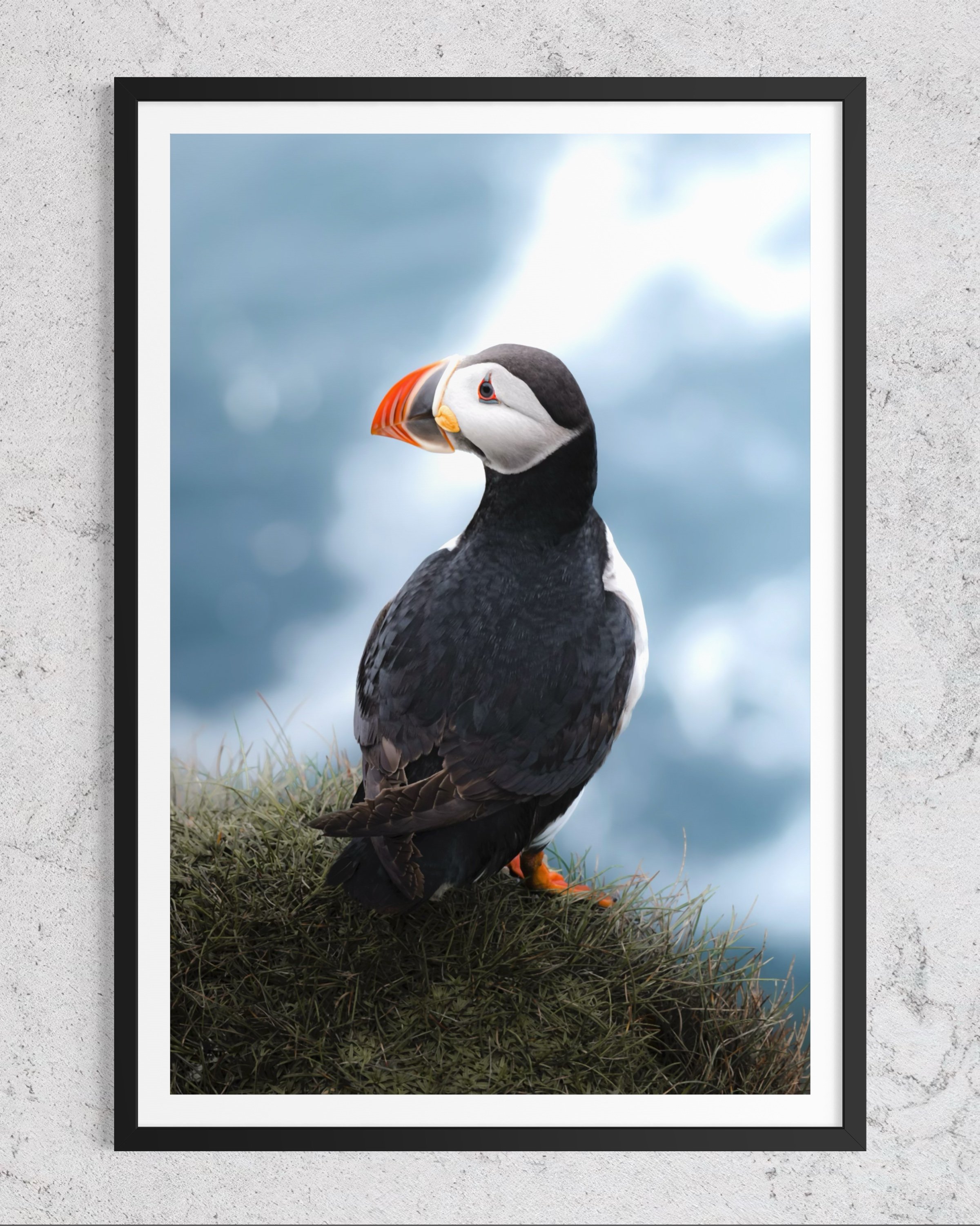 PERCHED