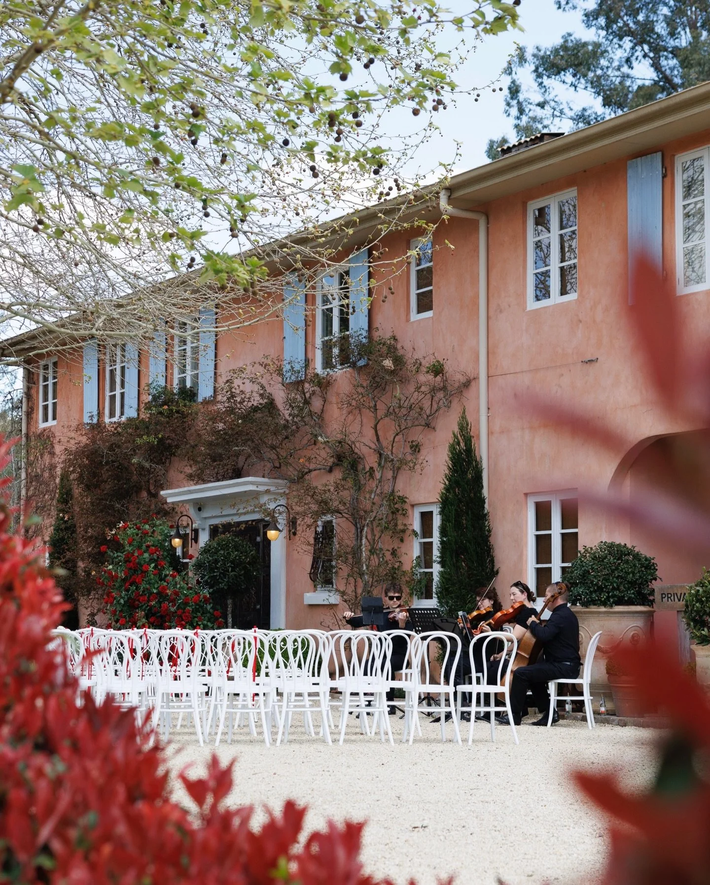 Thoughtful details, beautifully placed ✨

@redleafwollombi