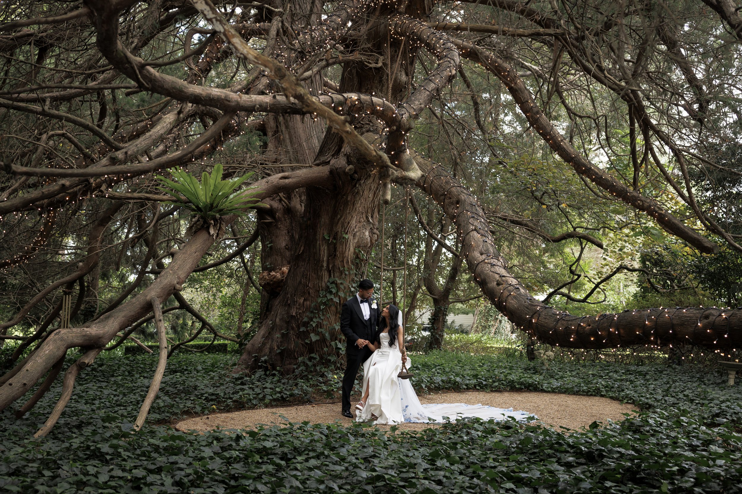 Wedding couple standing beneath a large, twisting tree decorated with string lights, in a lush, green outdoor setting.