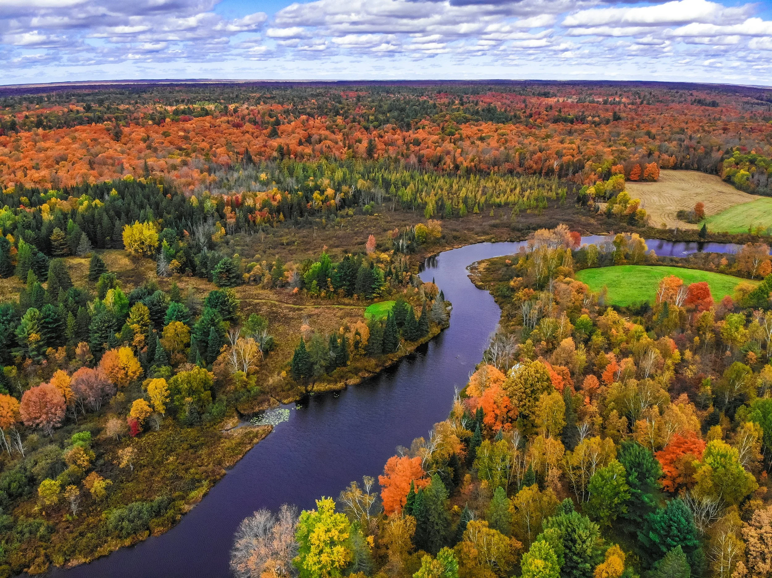 091C9265-18BD-4B60-8BED-BAC4DDBAD0B3 2.JPEG