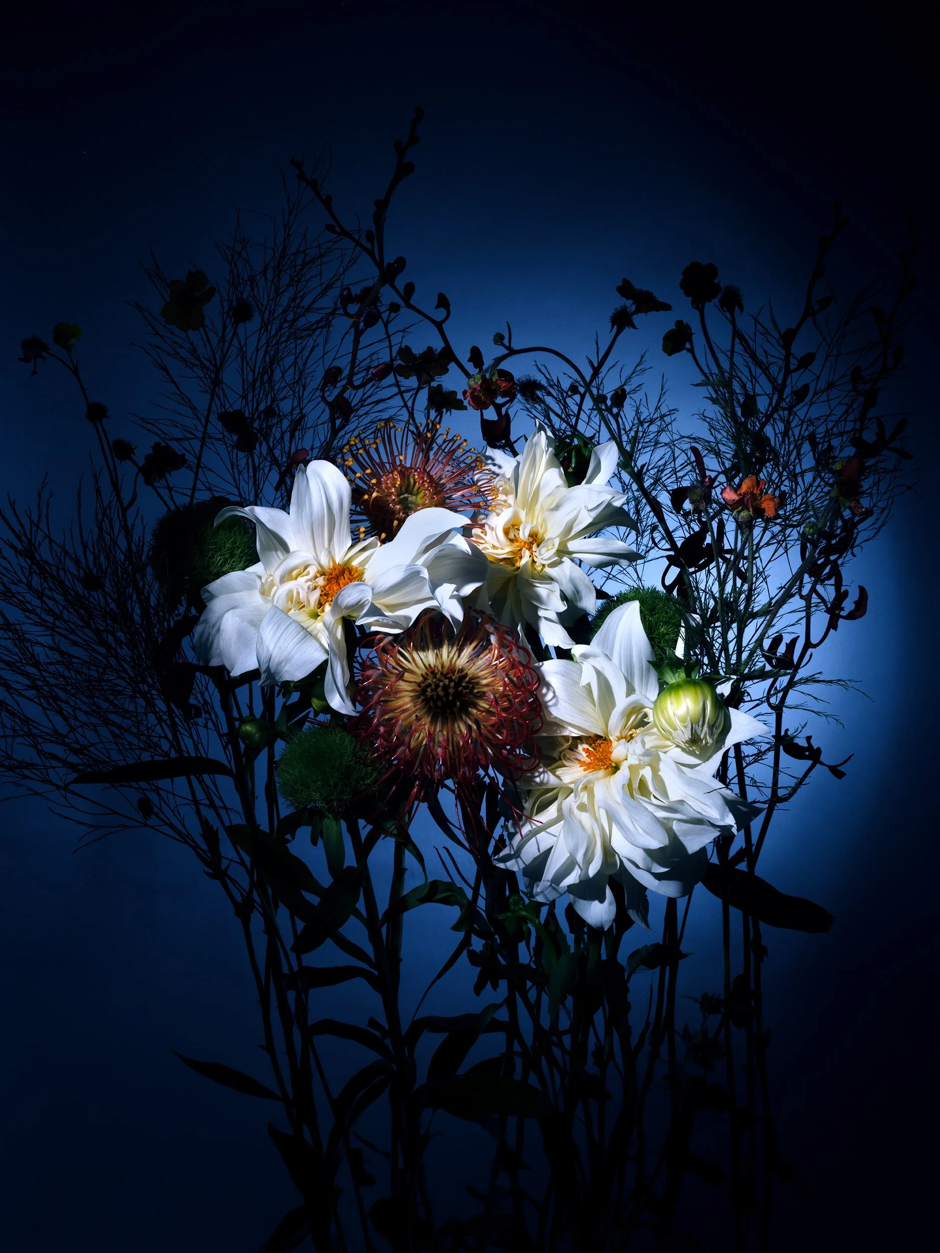 WhimsicalFlowers11383_RT_web.jpg